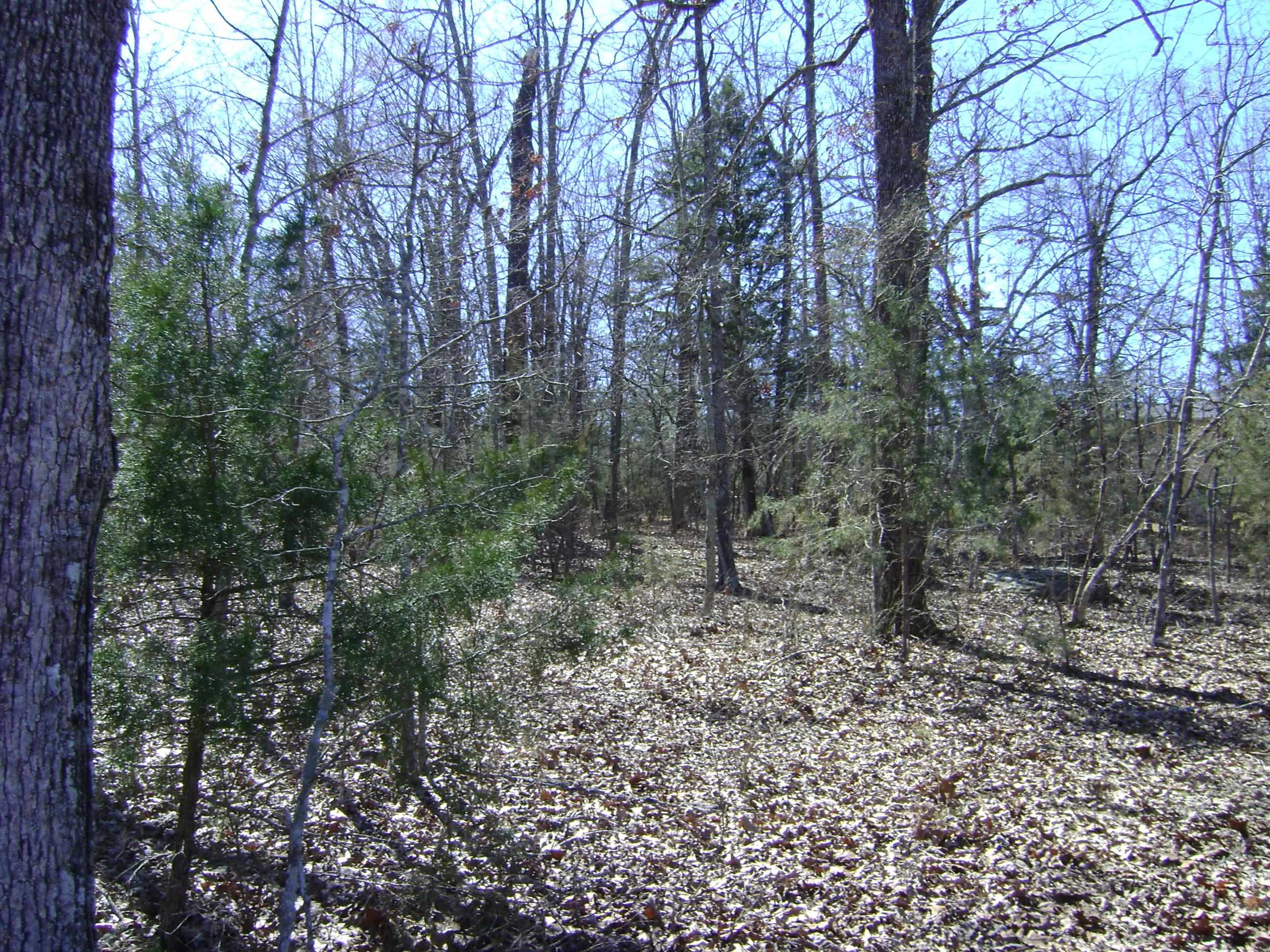 1111  Court Loop  Horseshoe Bend, AR
