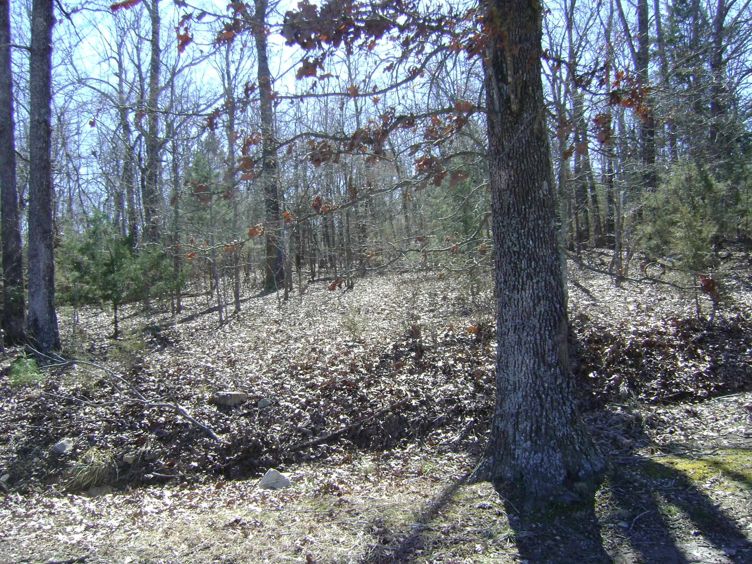 1111  Court Loop  Horseshoe Bend, AR