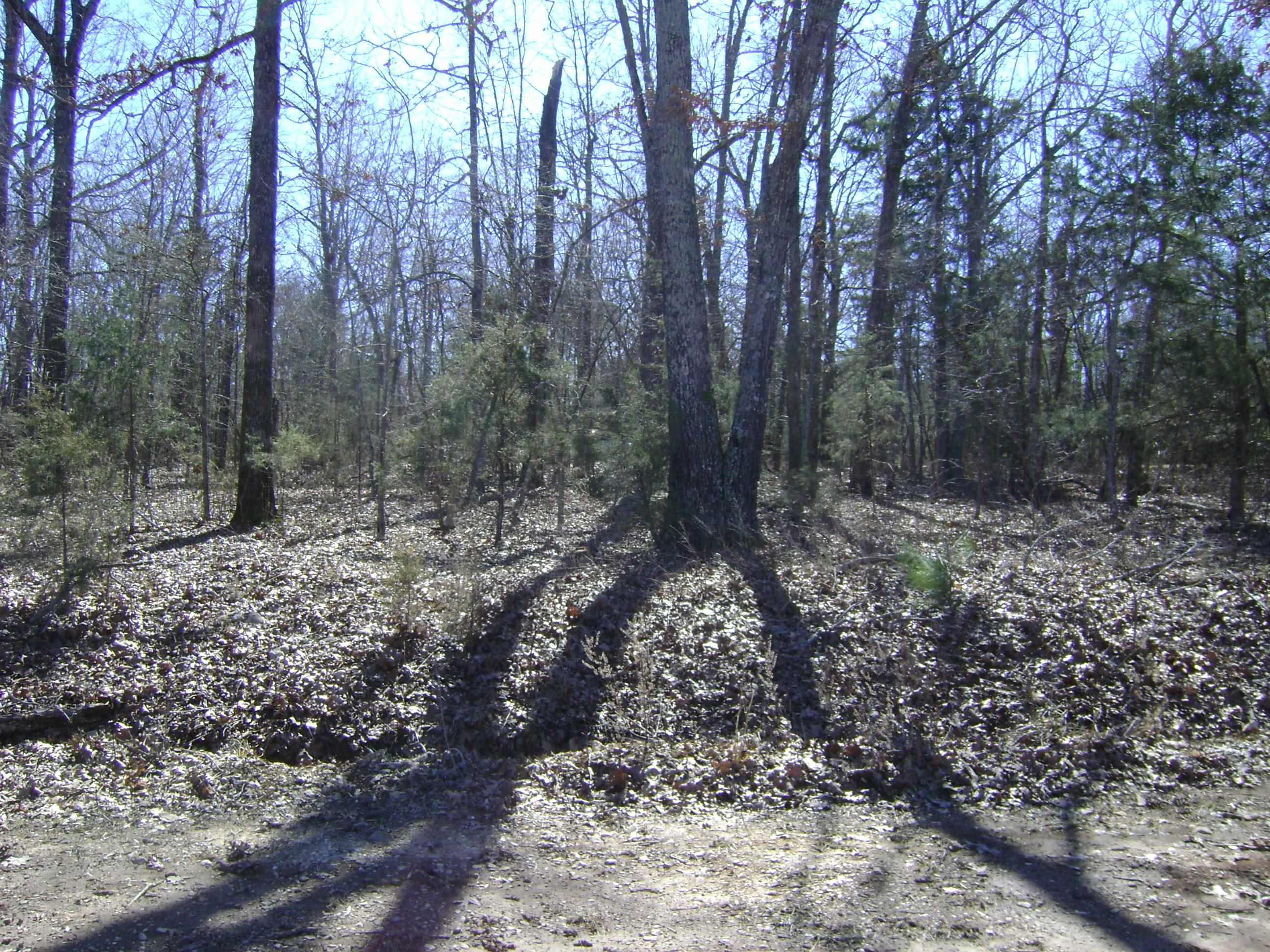 1111  Court Loop  Horseshoe Bend, AR