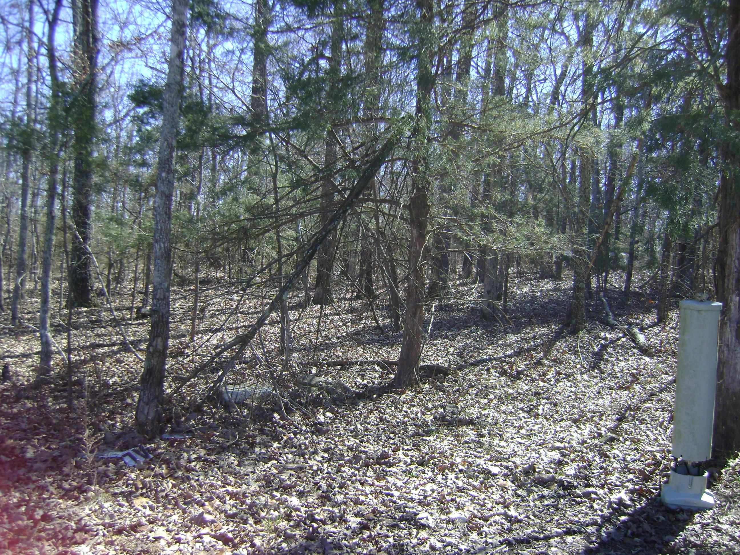 1111  Court Loop  Horseshoe Bend, AR