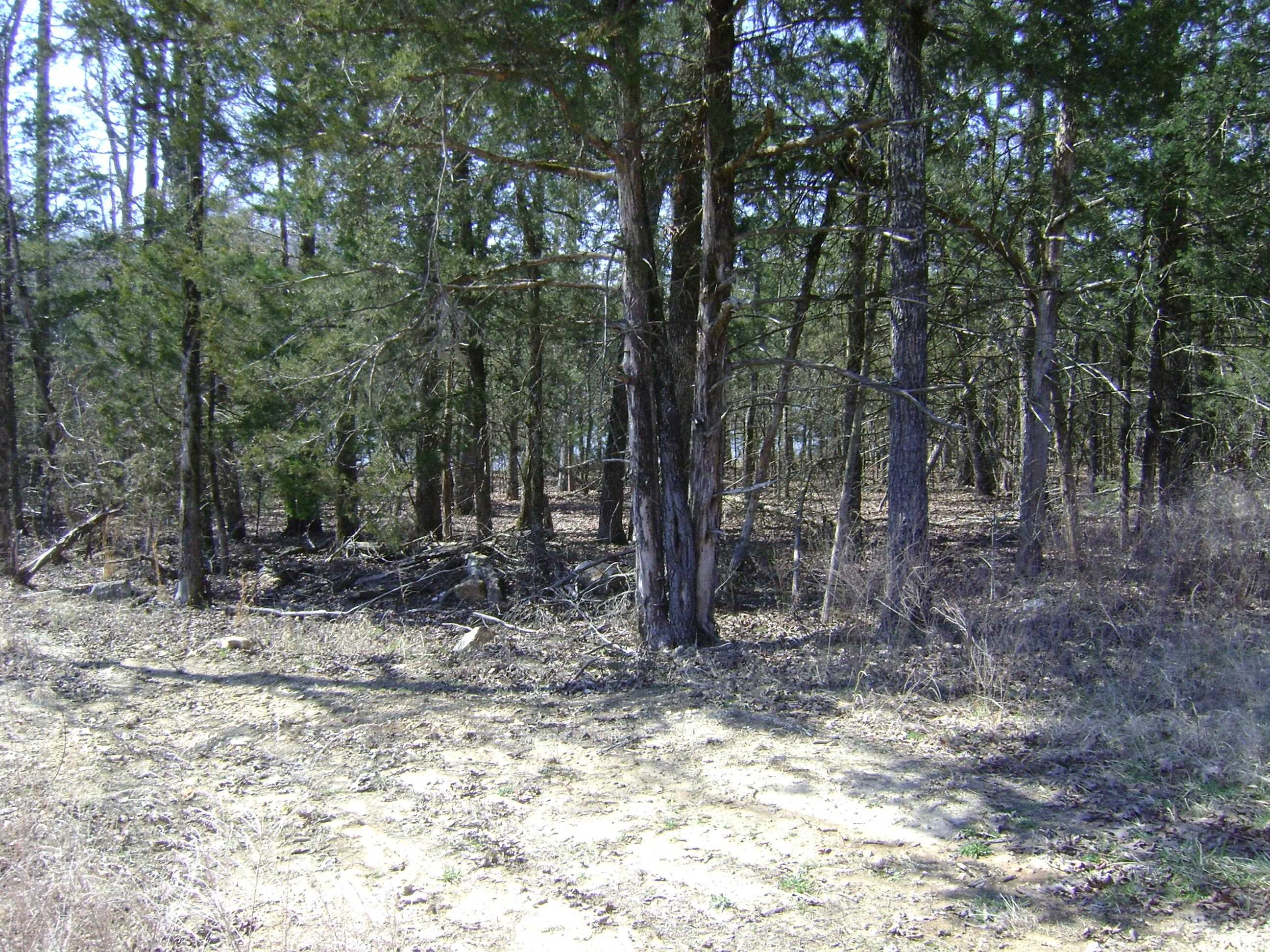 1111  Court Loop  Horseshoe Bend, AR