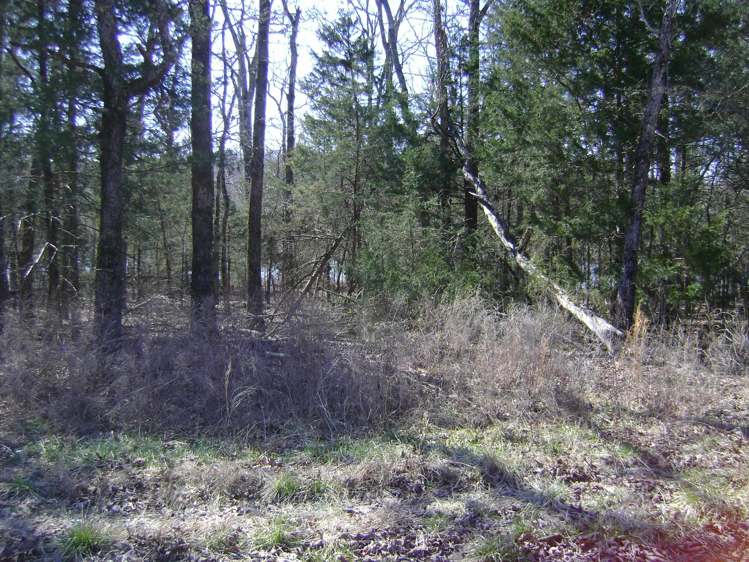 1111  Court Loop  Horseshoe Bend, AR