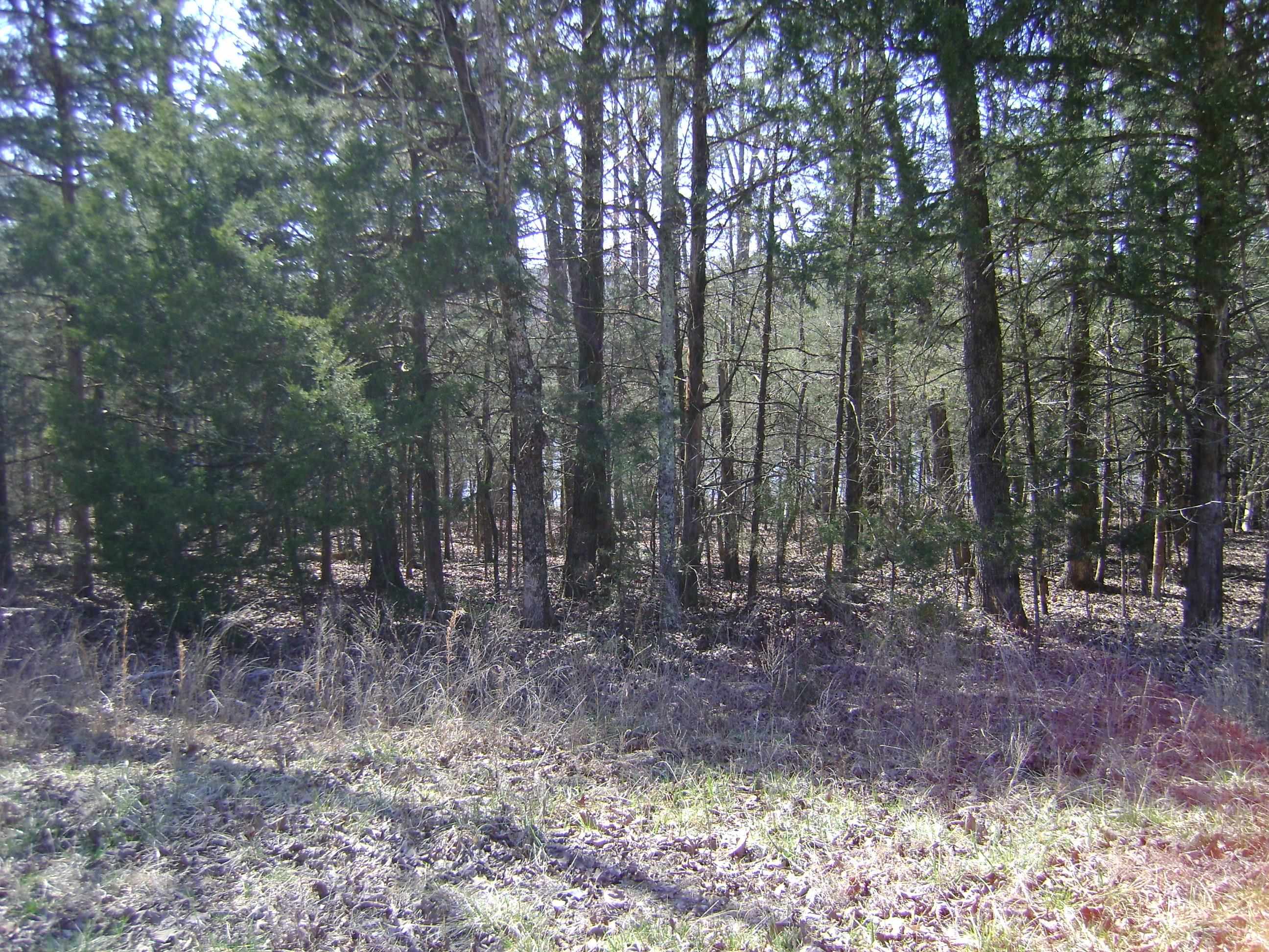 1111  Court Loop  Horseshoe Bend, AR