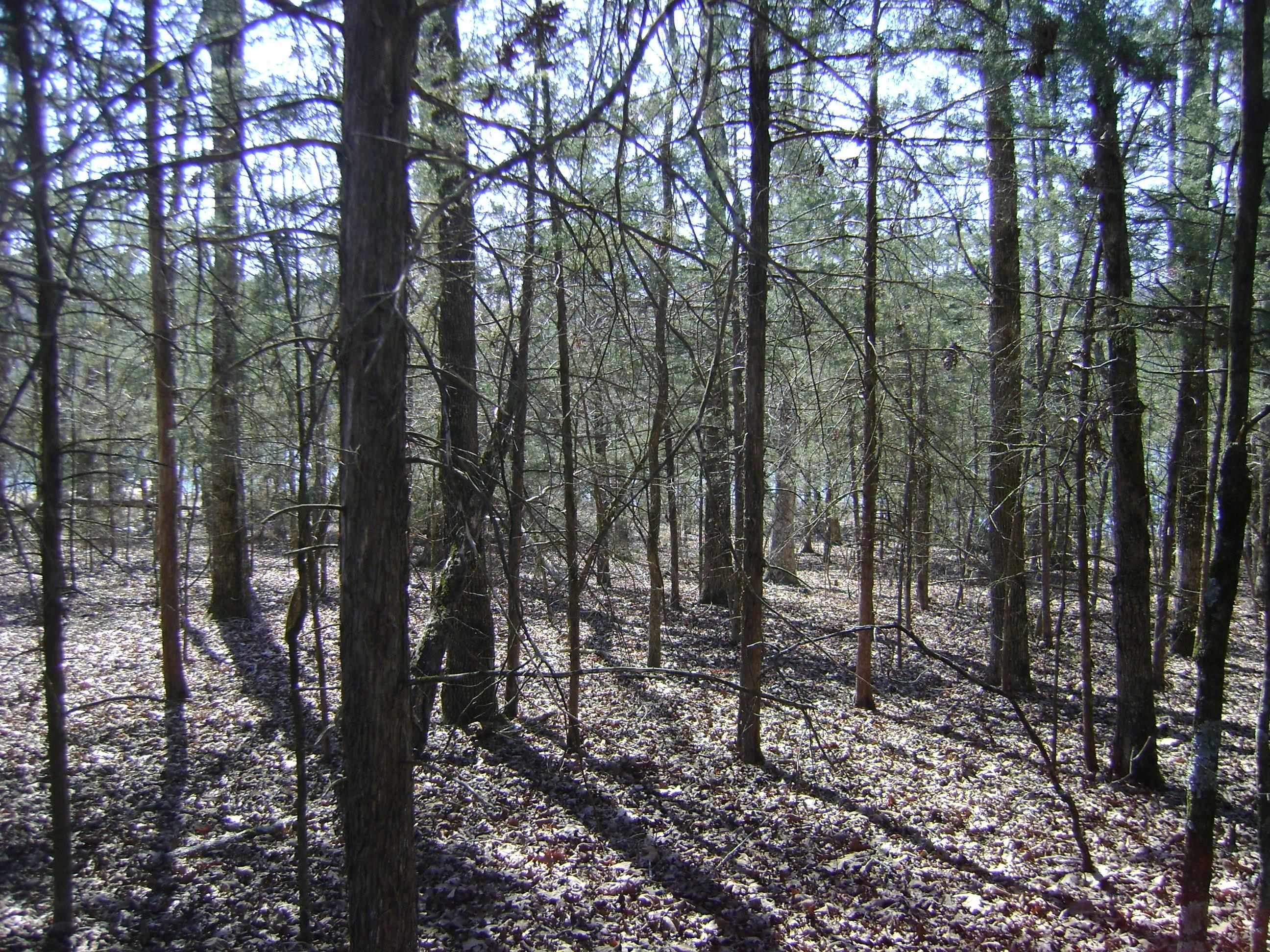1111  Court Loop  Horseshoe Bend, AR