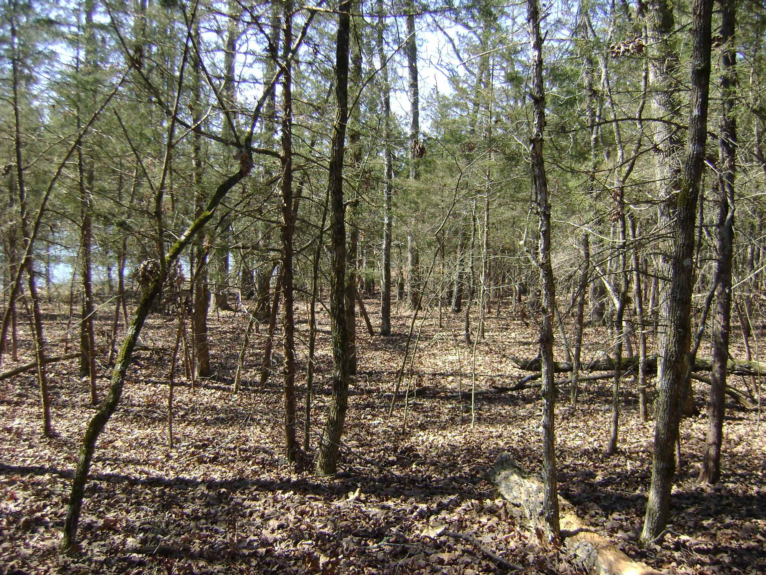 1111  Court Loop  Horseshoe Bend, AR