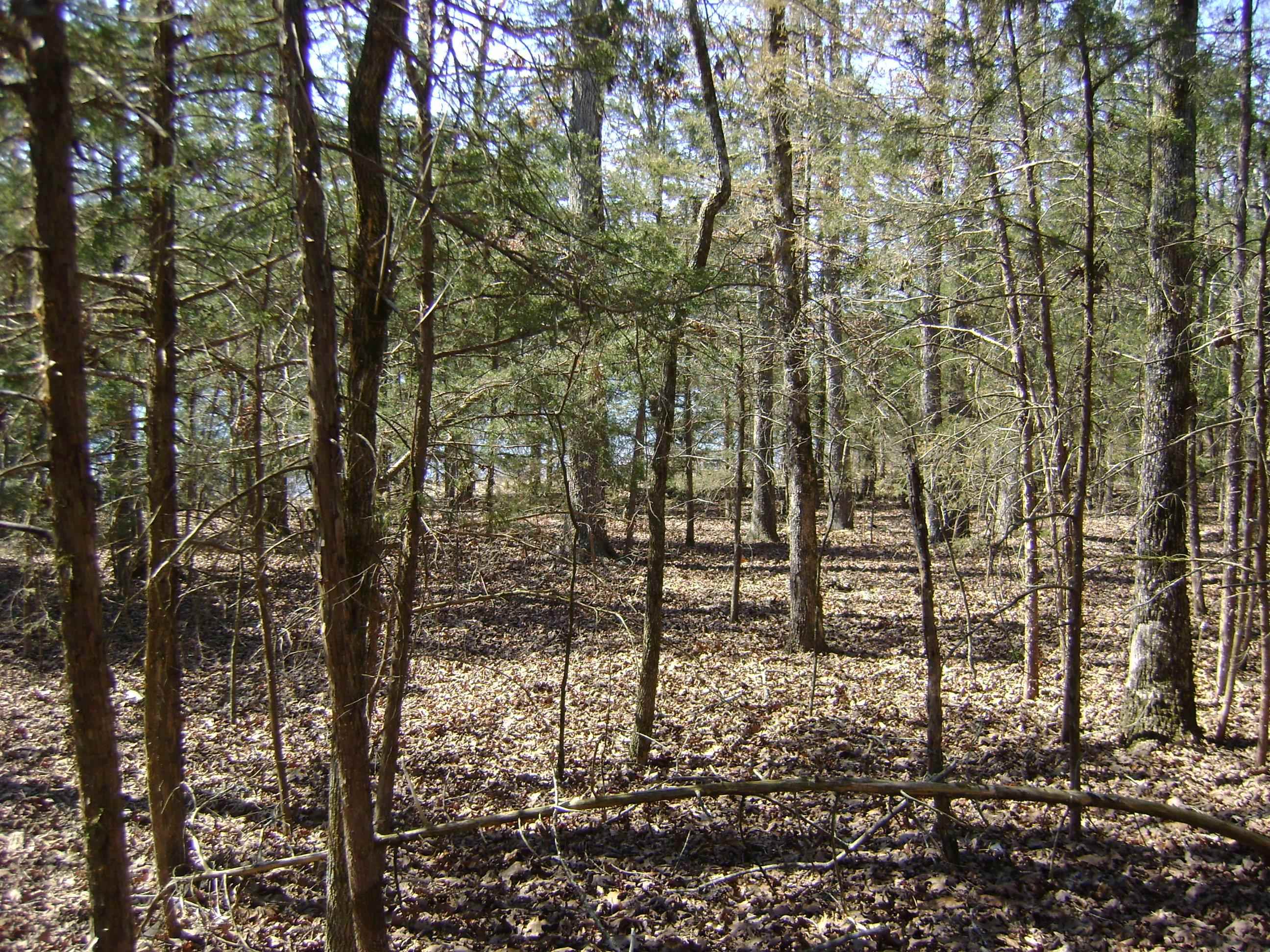 1111  Court Loop  Horseshoe Bend, AR