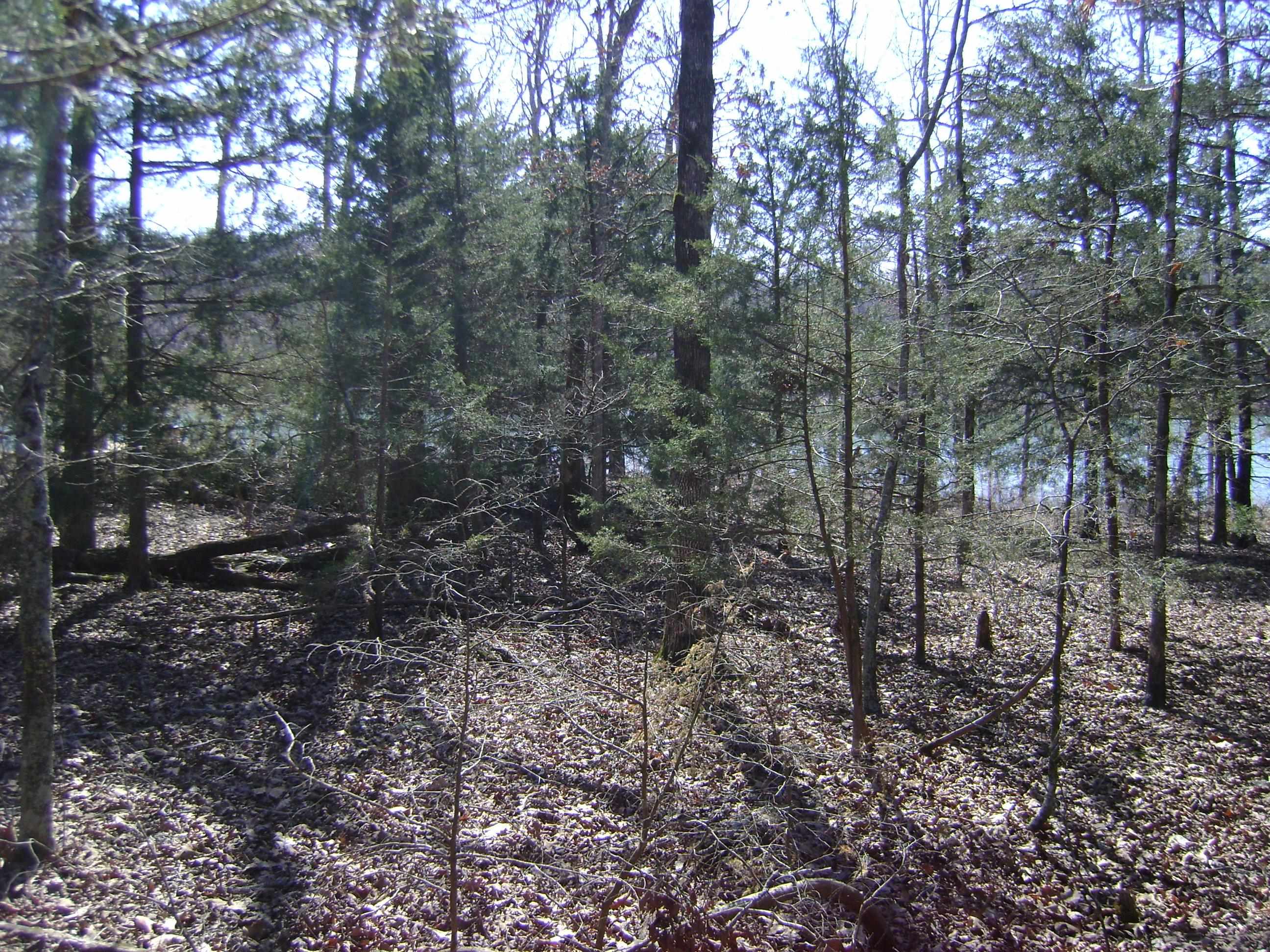 1111  Court Loop  Horseshoe Bend, AR