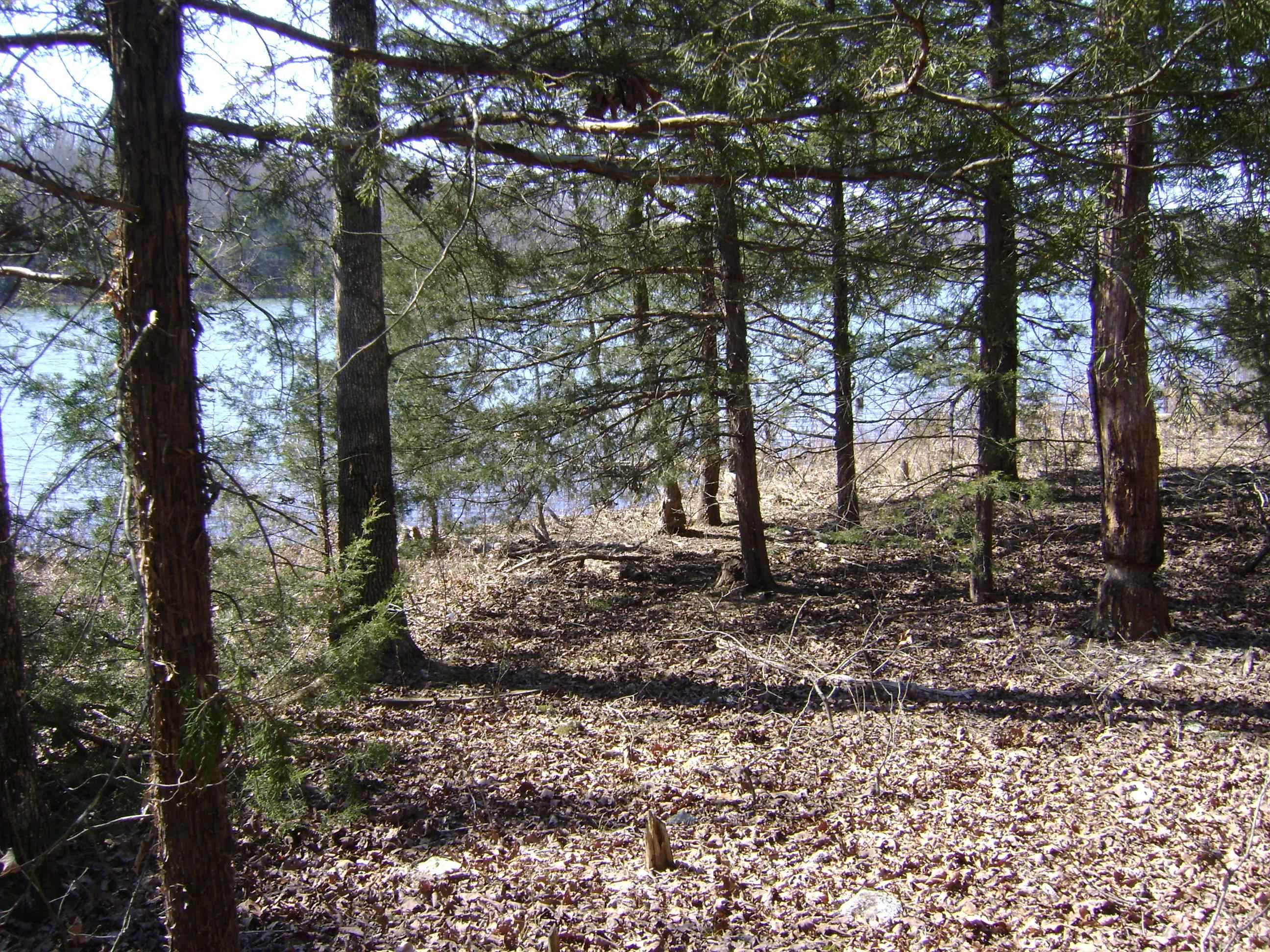 1111  Court Loop  Horseshoe Bend, AR