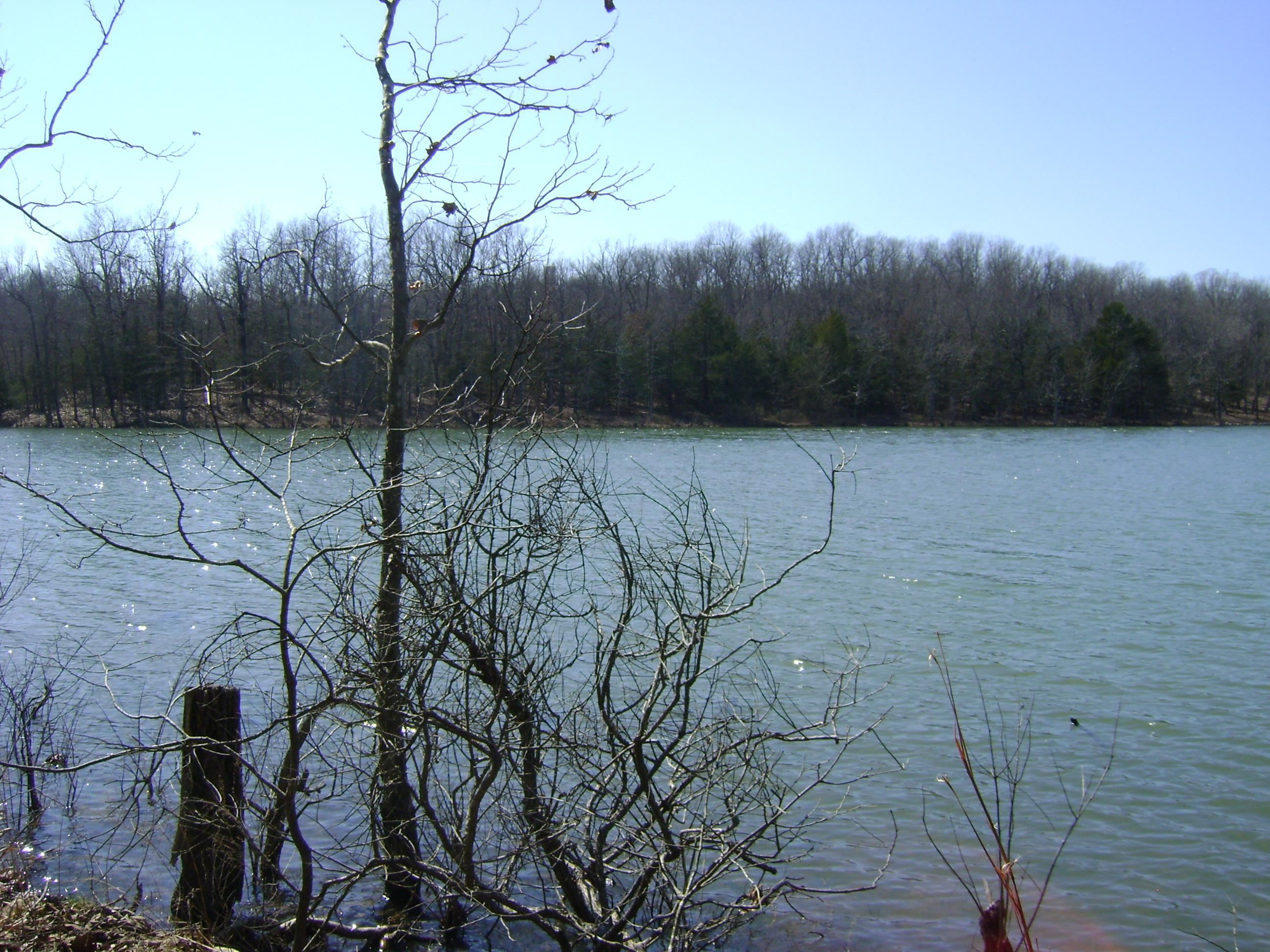 1111  Court Loop  Horseshoe Bend, AR