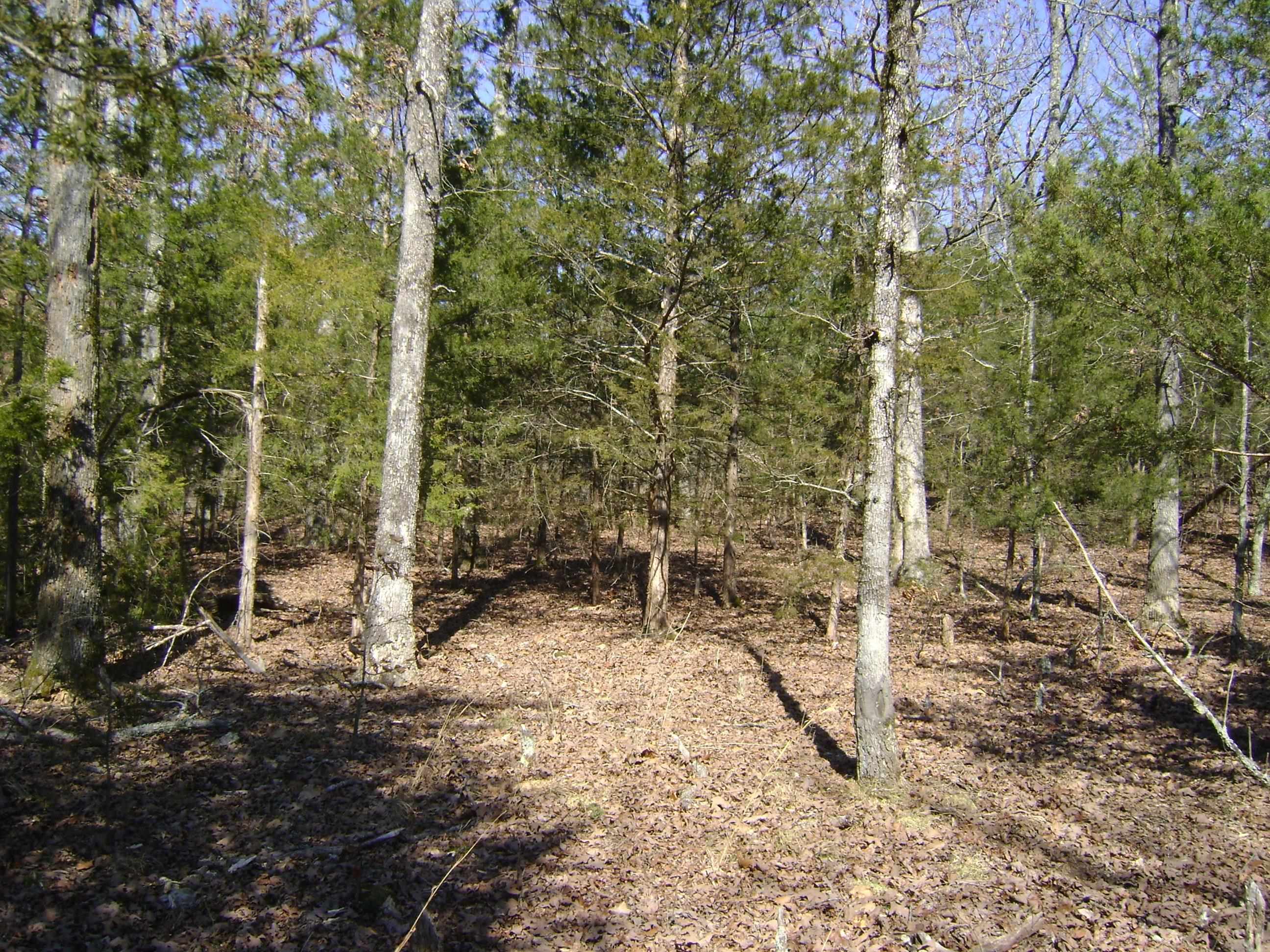 1111  Court Loop  Horseshoe Bend, AR