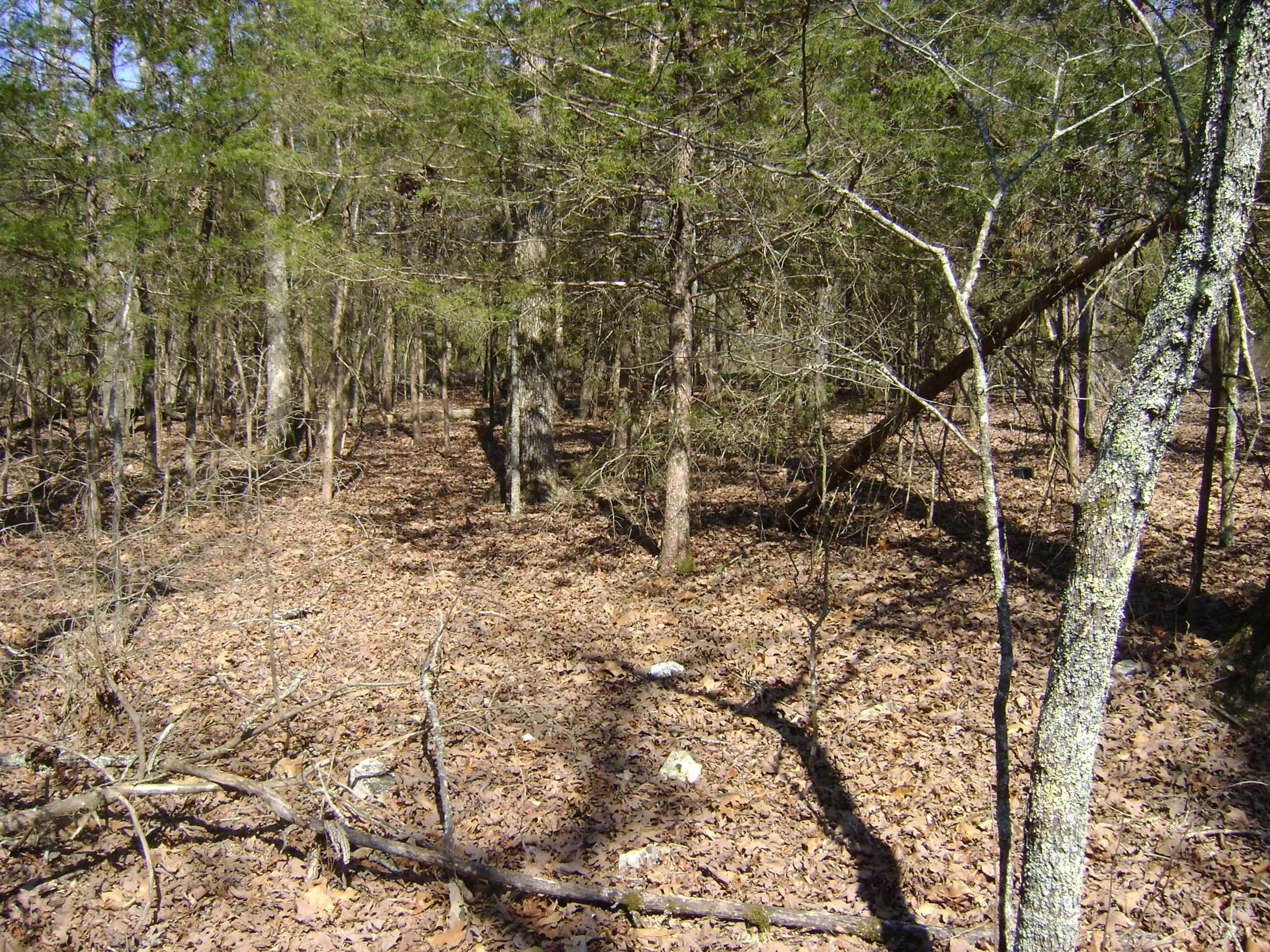 1111  Court Loop  Horseshoe Bend, AR