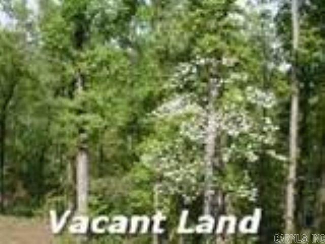 Lot 12  Faulkner Meadows River meadows subdivision Mayflower, AR