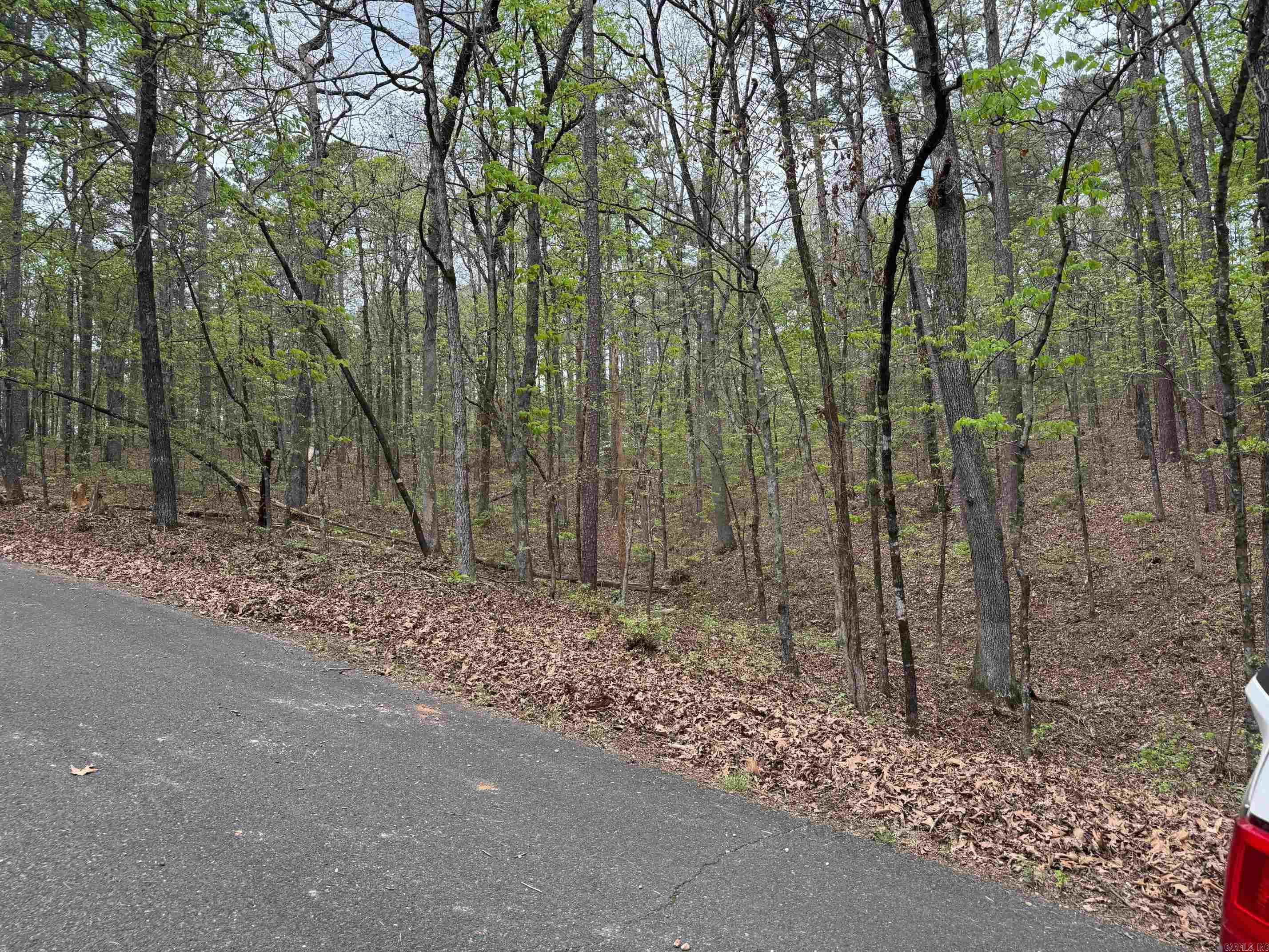 23  SUSPIRO LANE  Hot Springs Village, AR