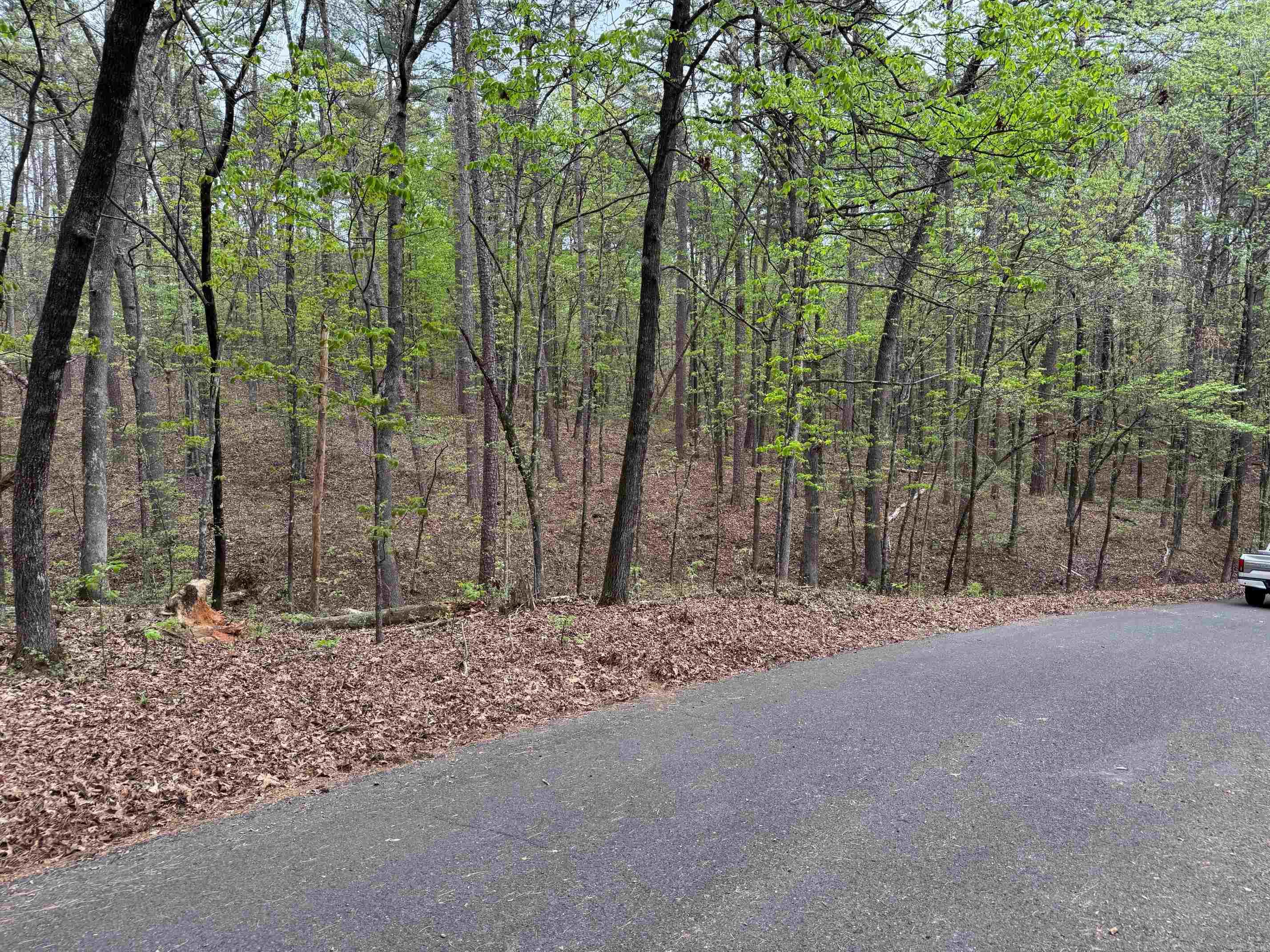 23  SUSPIRO LANE  Hot Springs Village, AR
