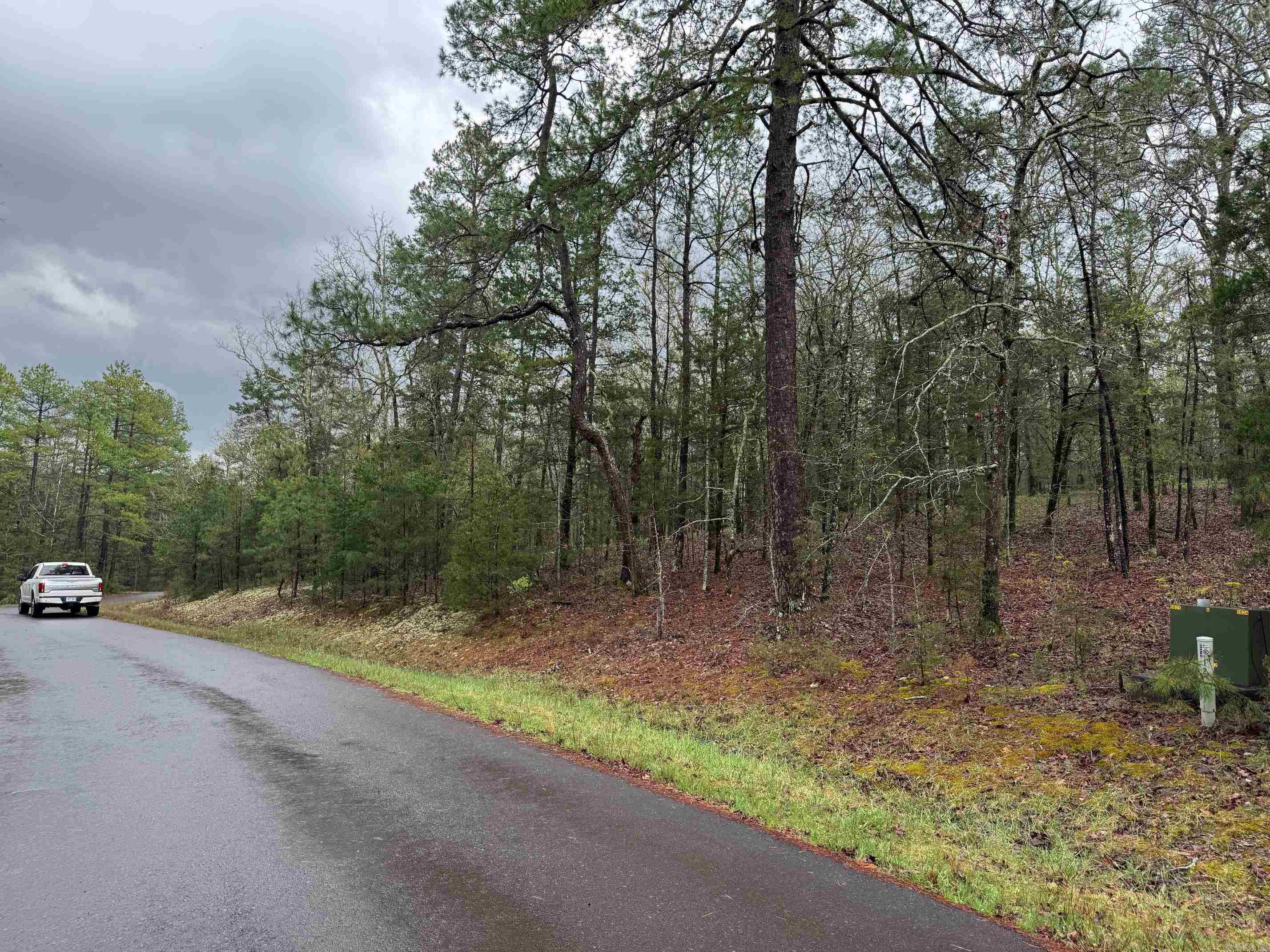 12  PERFECTO CT  Hot Springs Village, AR