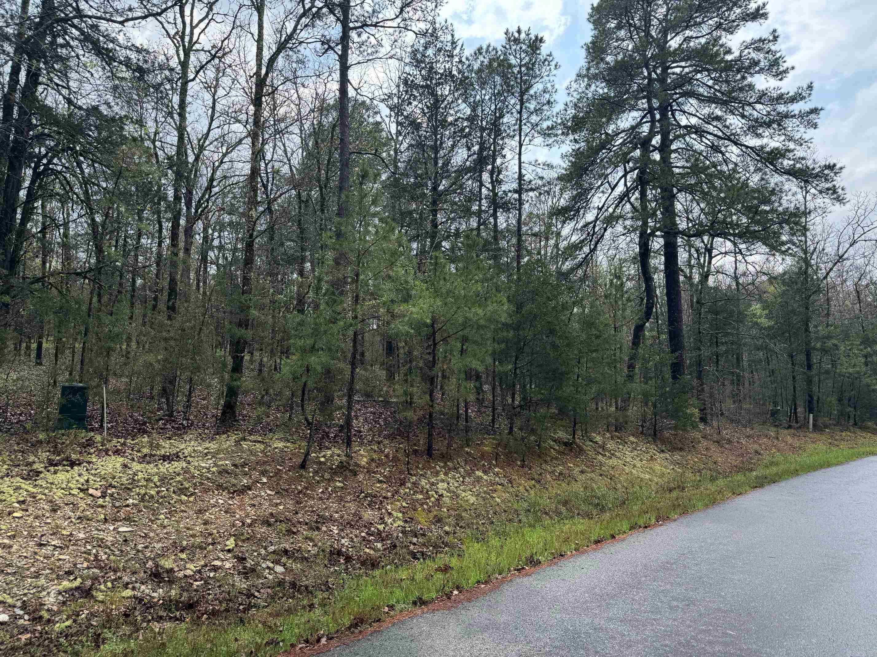 12  PERFECTO CT  Hot Springs Village, AR