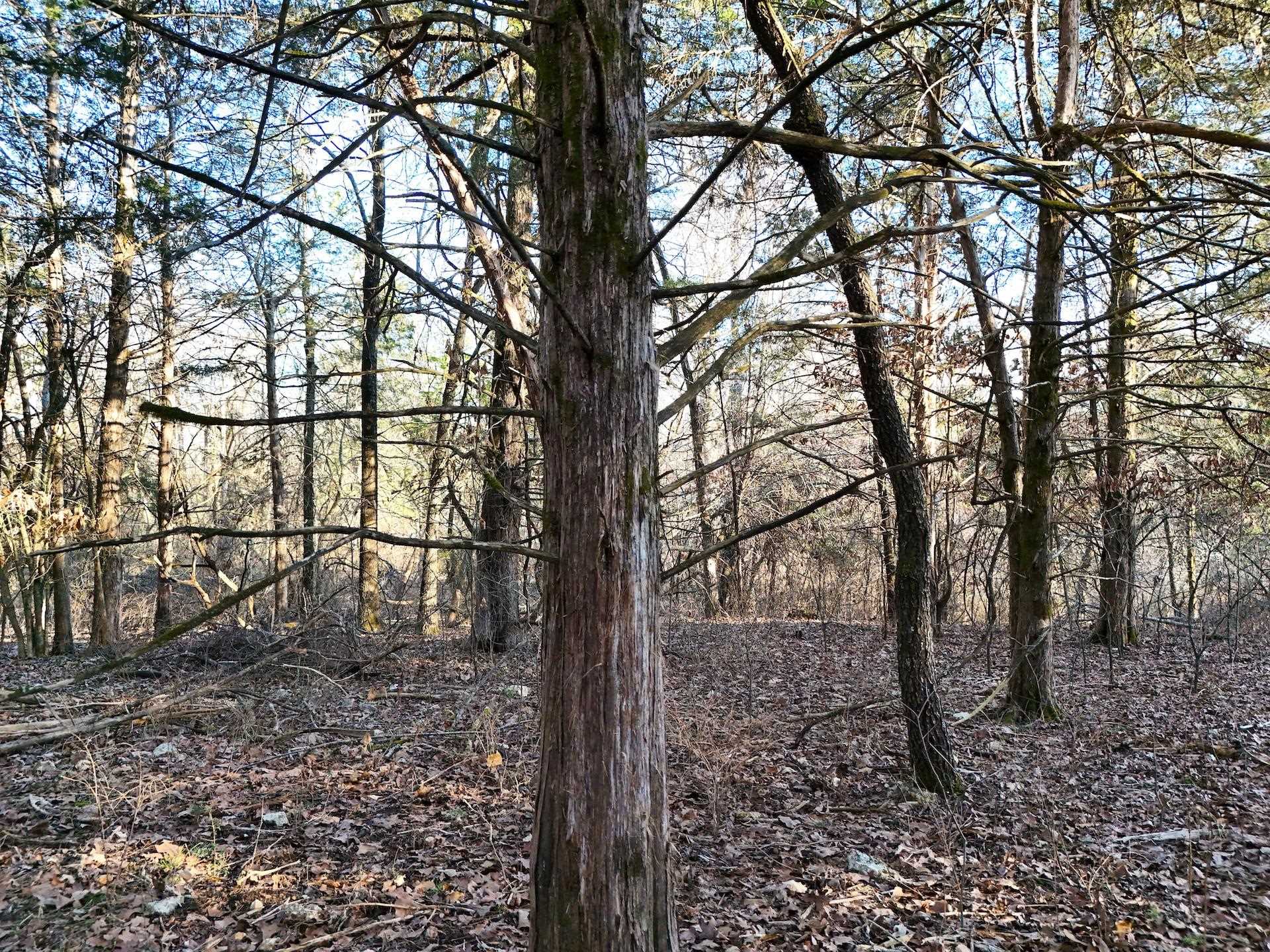  E Wirth  Mammoth Spring, AR
