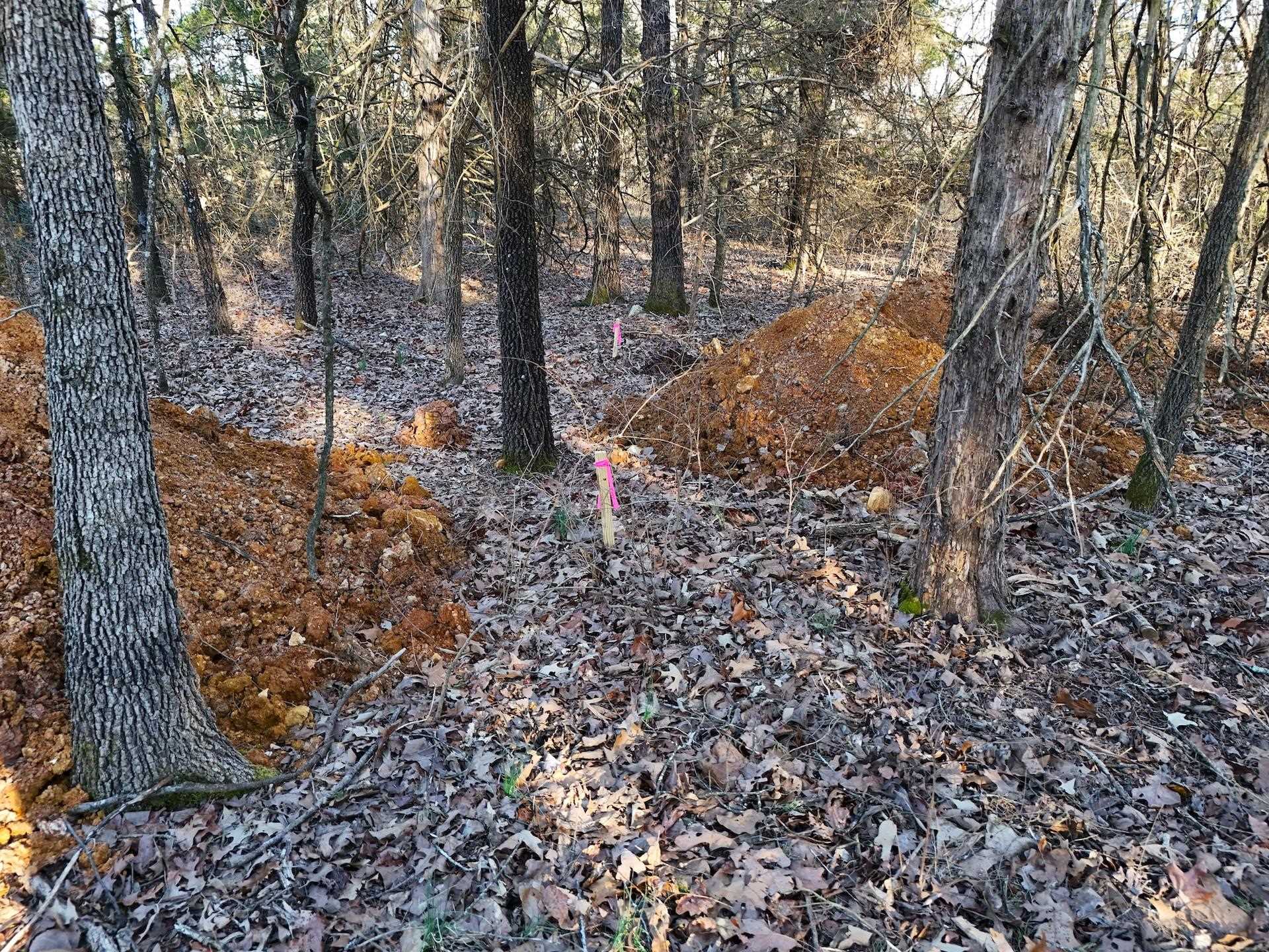  E Wirth  Mammoth Spring, AR