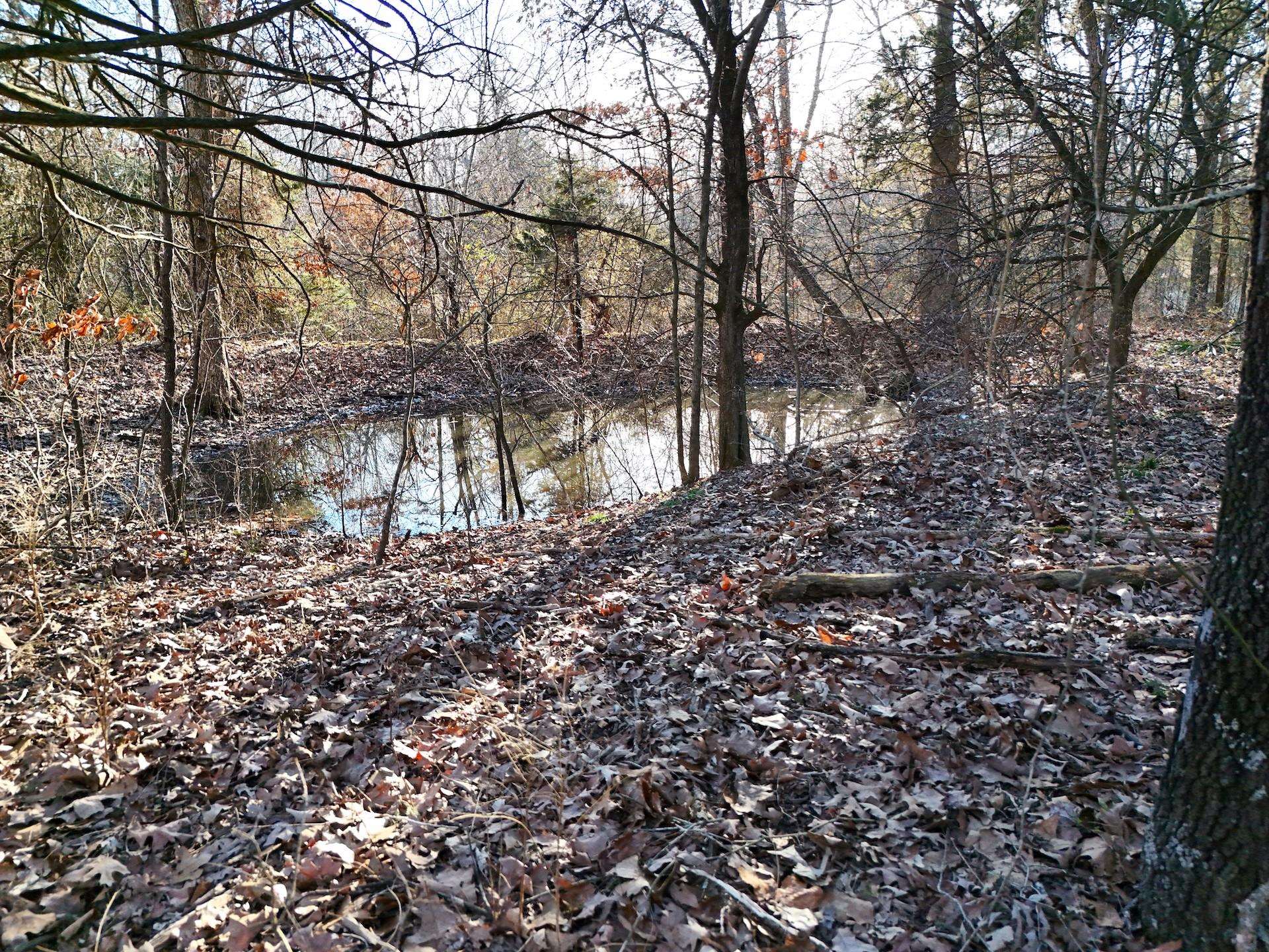  E Wirth  Mammoth Spring, AR
