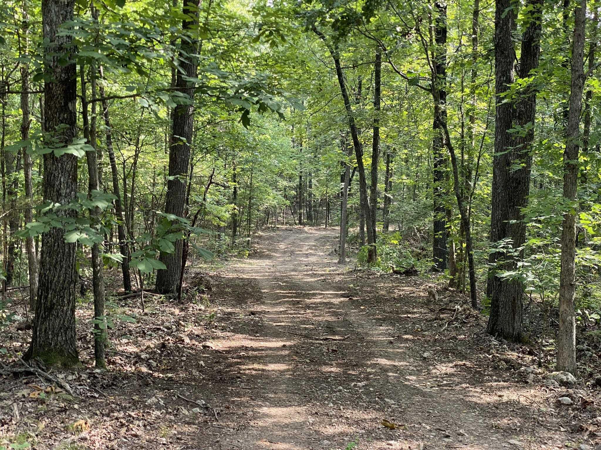 60  Ridge Road  Hardy, AR
