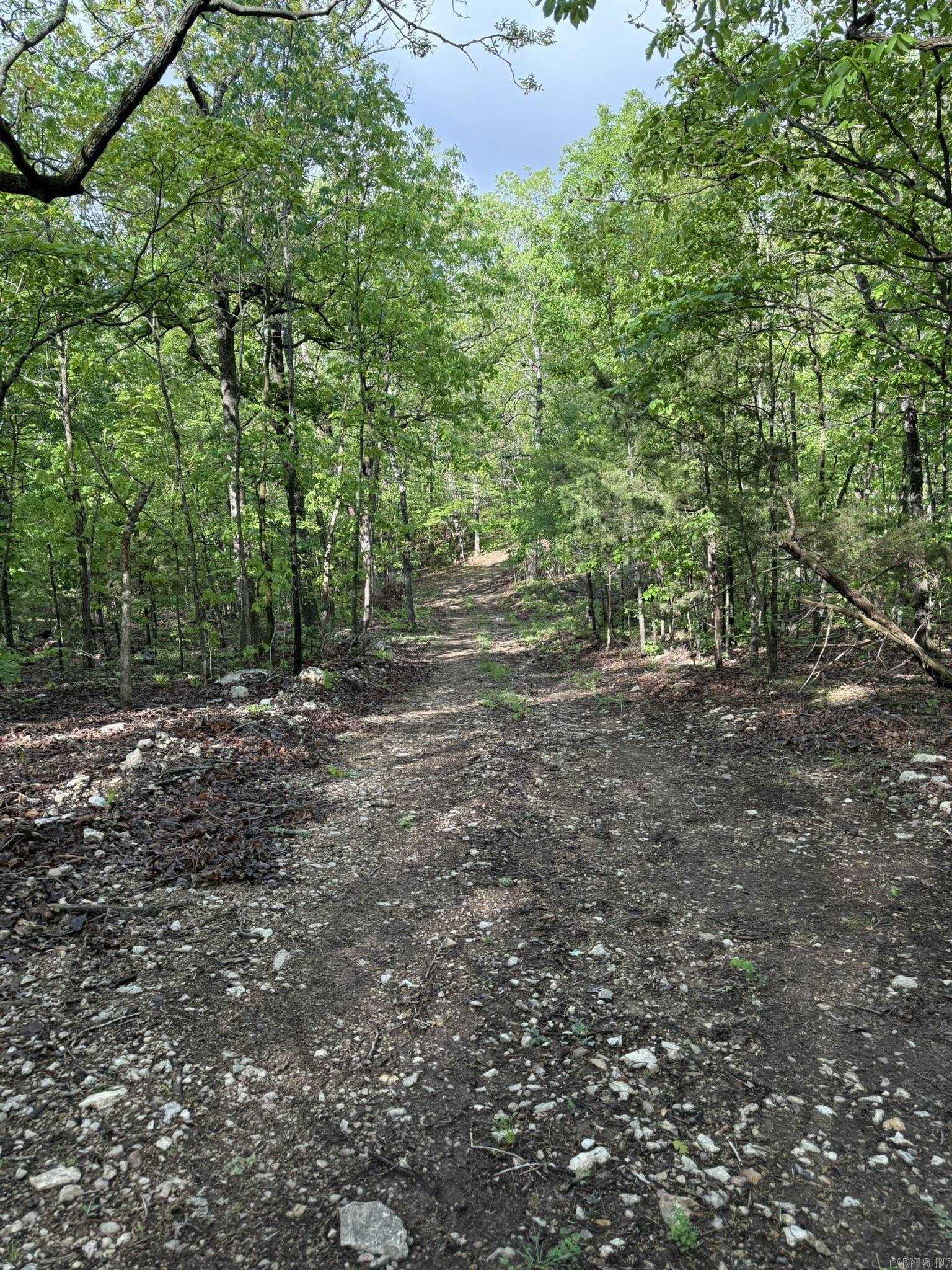 60  Ridge Road  Hardy, AR