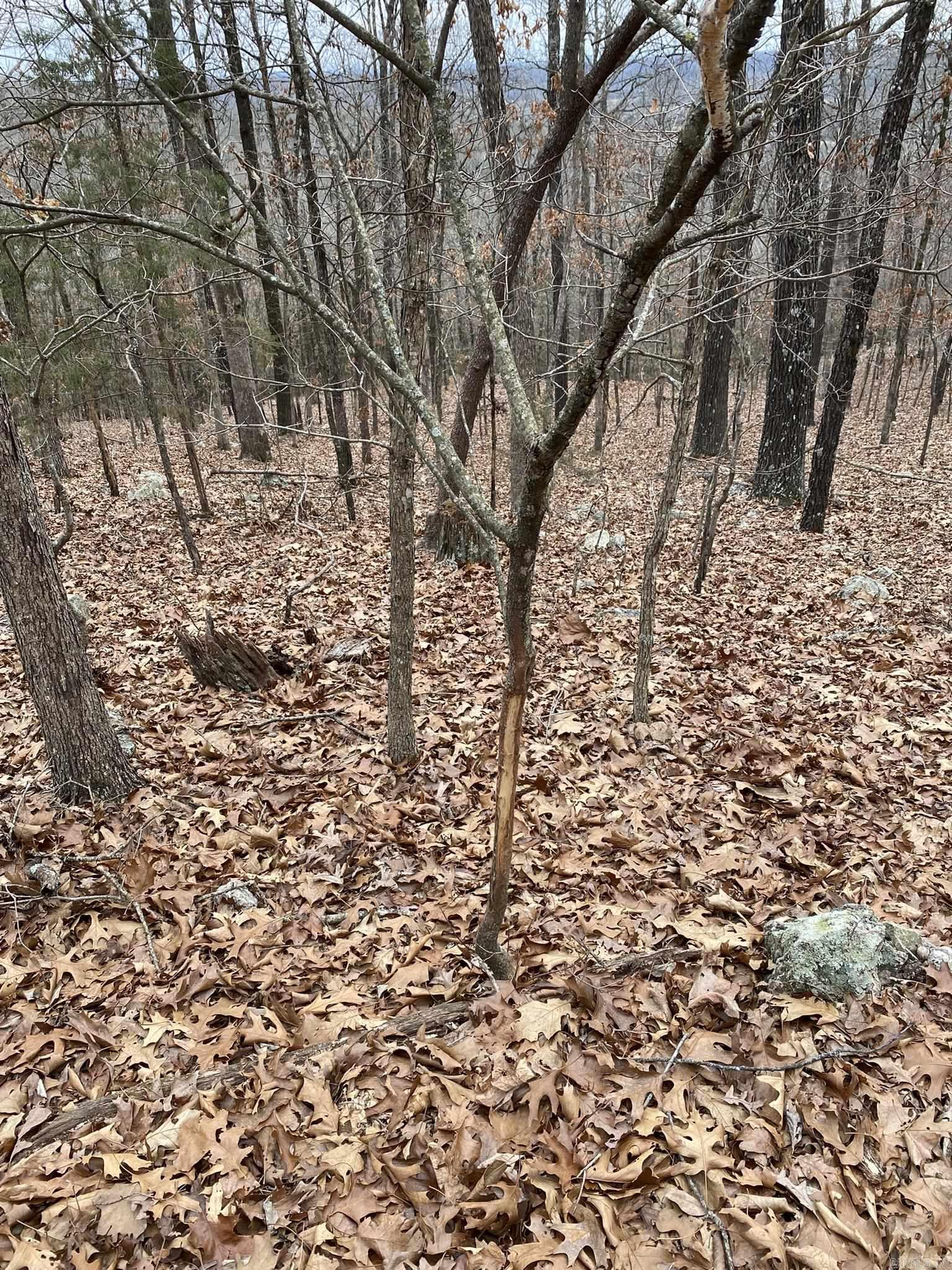60  Ridge Road  Hardy, AR