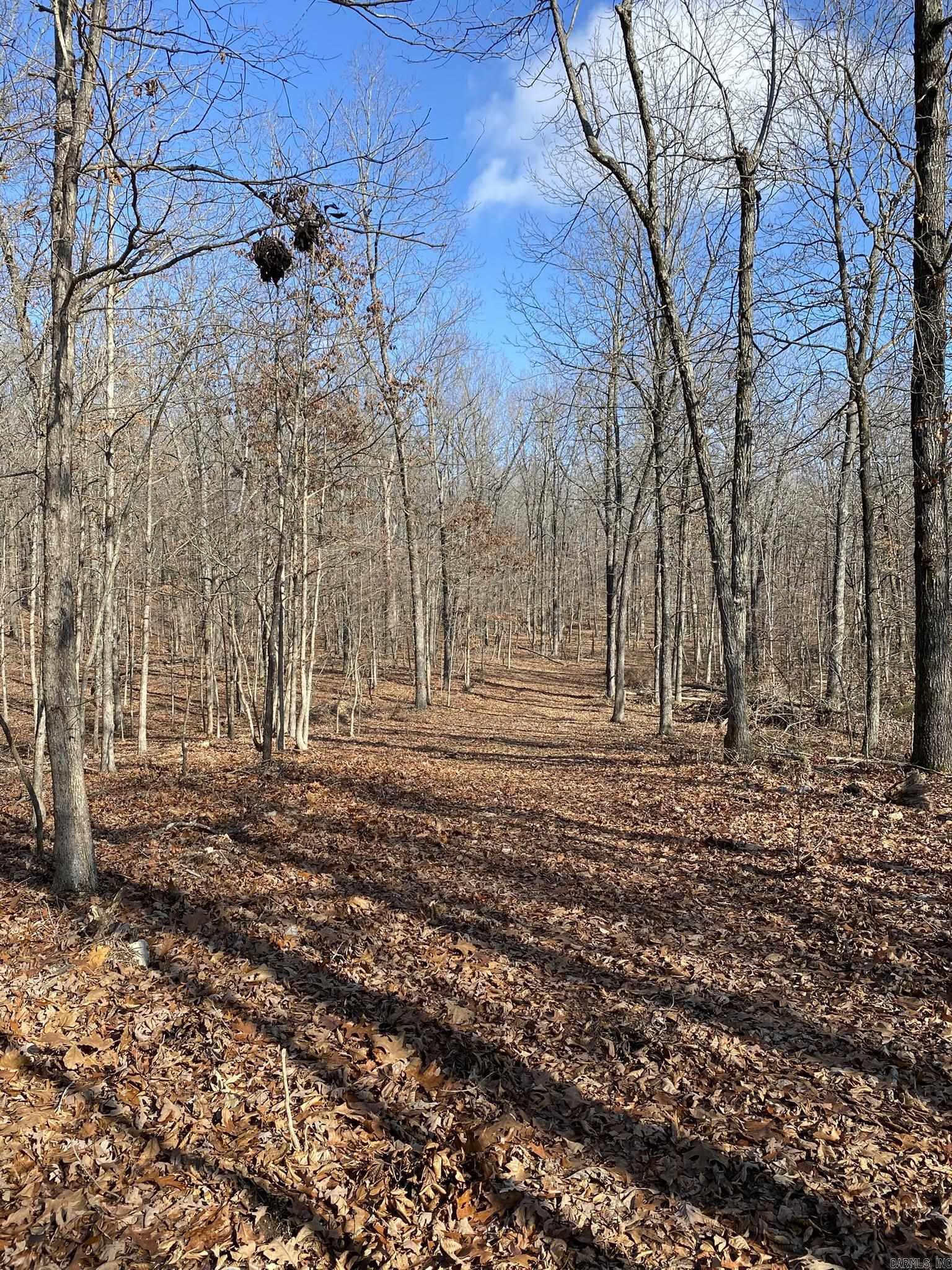 60  Ridge Road  Hardy, AR
