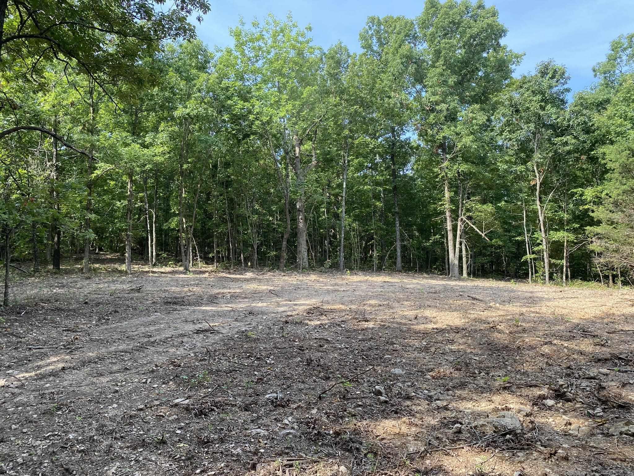 60  Ridge Road  Hardy, AR