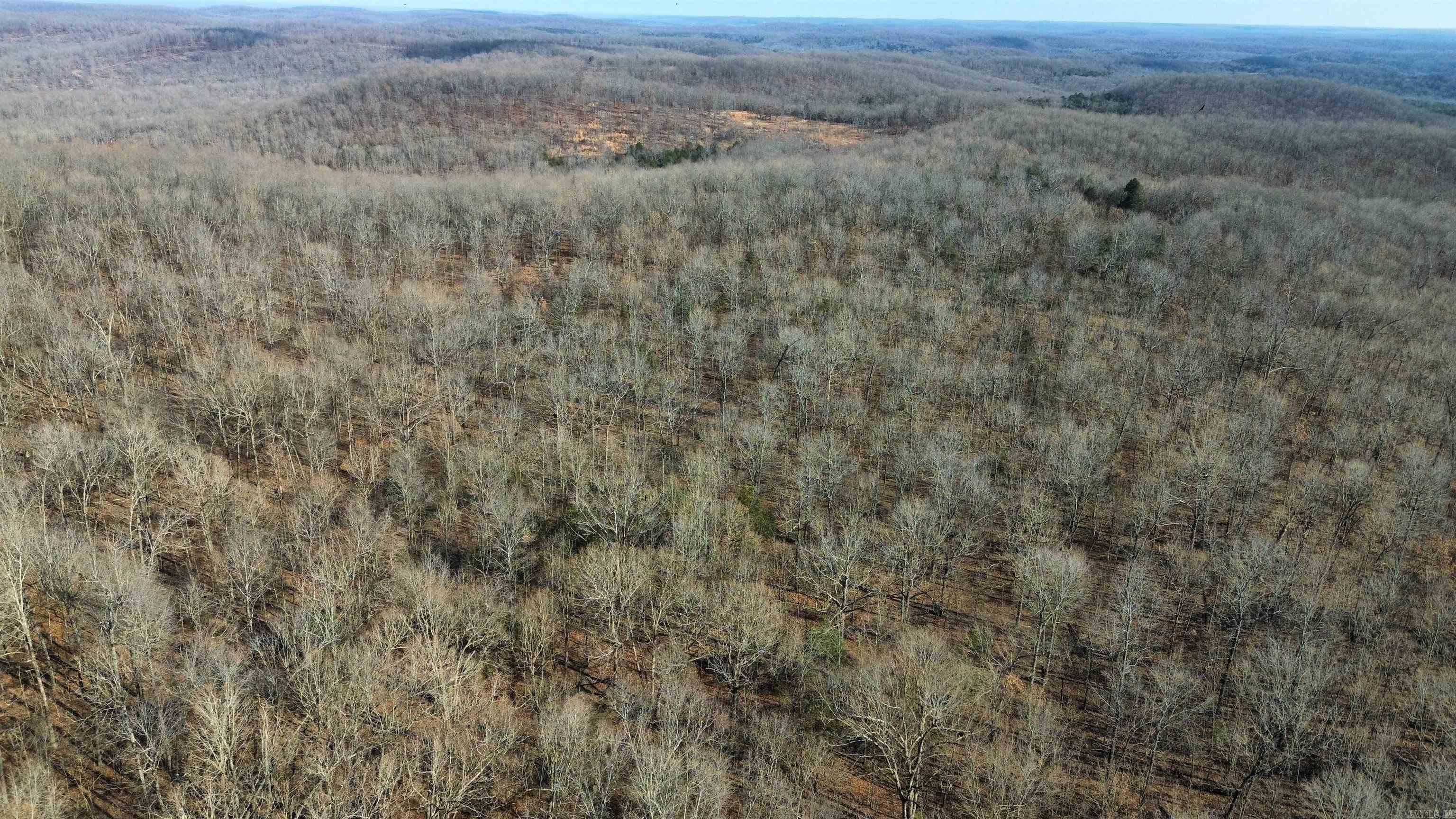 60  Ridge Road  Hardy, AR