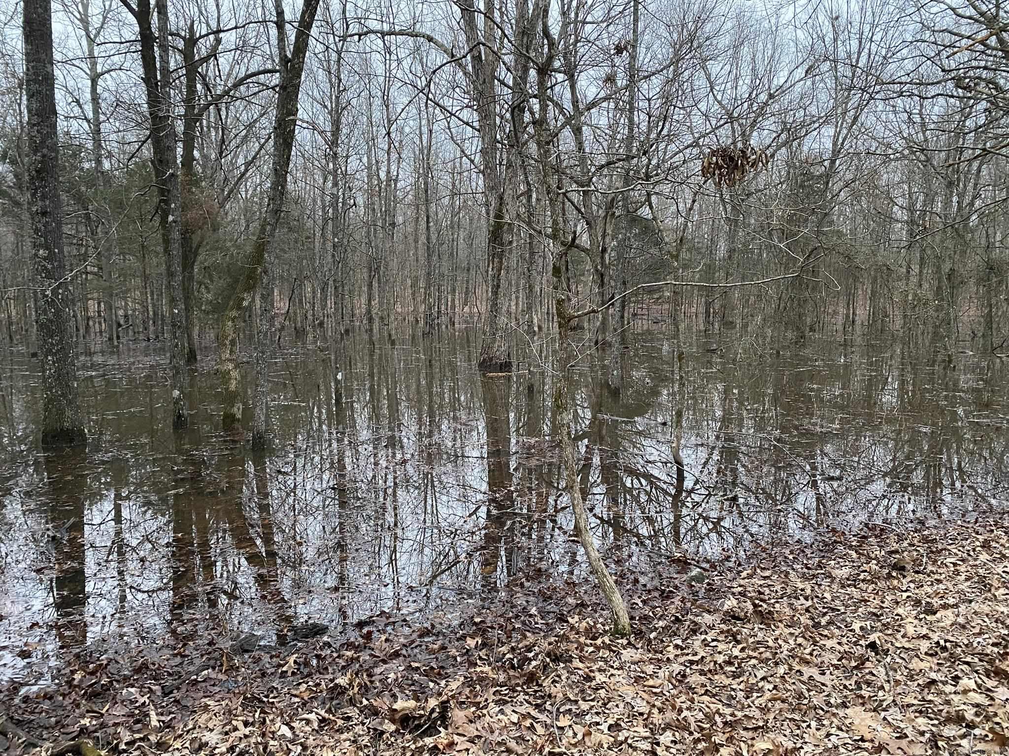 60  Ridge Road  Hardy, AR