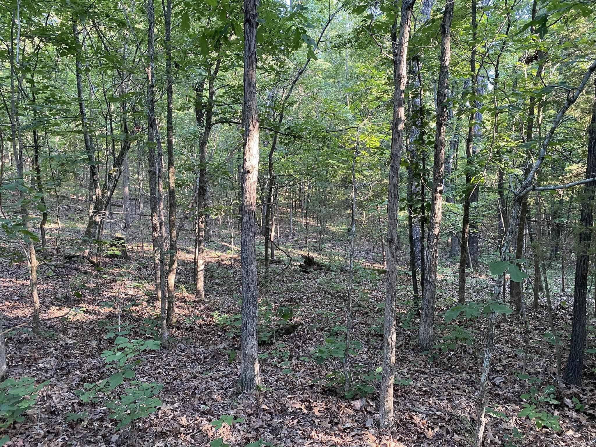 60  Ridge Road  Hardy, AR