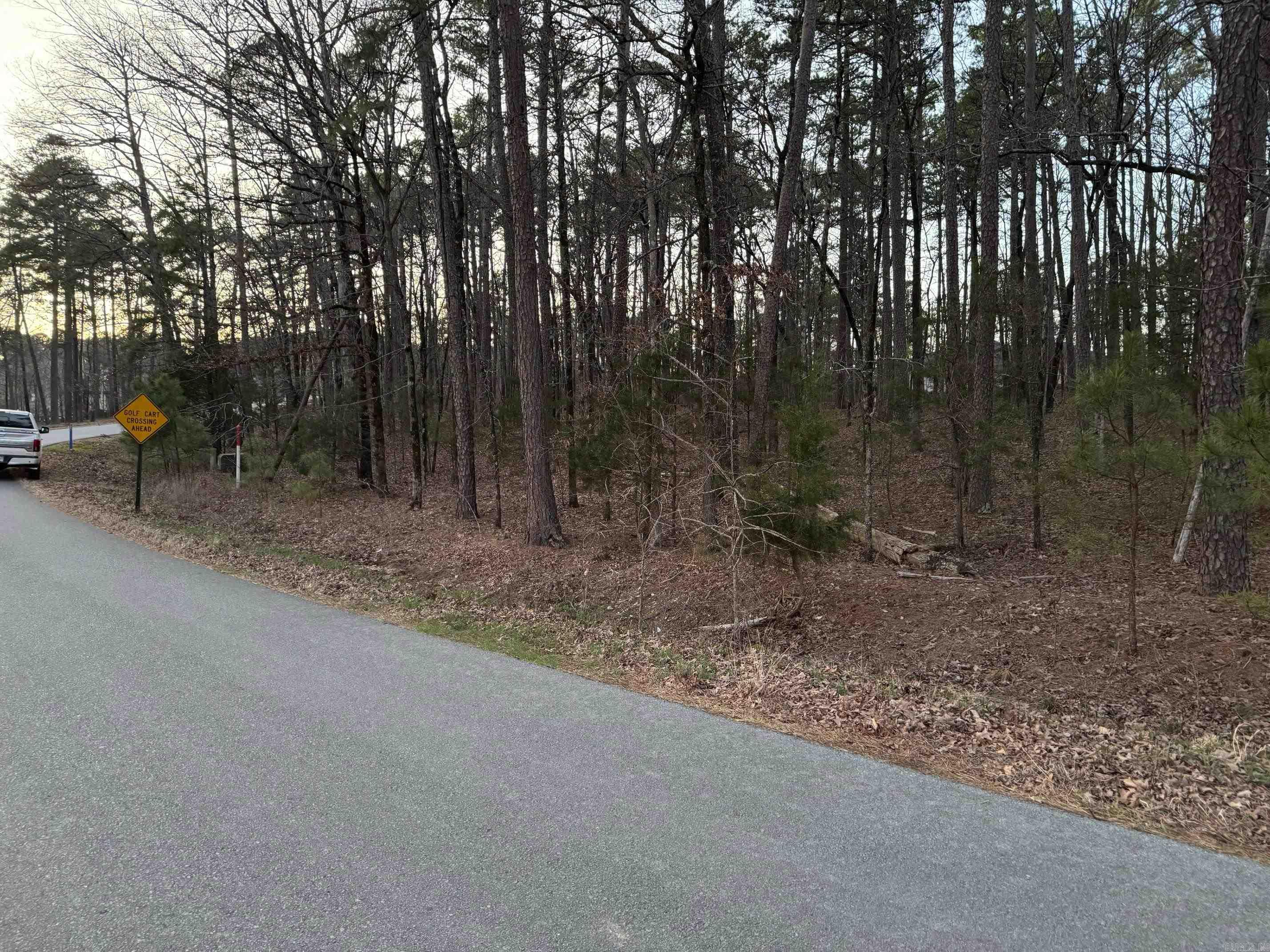 55  LAVANDA LANE  Hot Springs Village, AR
