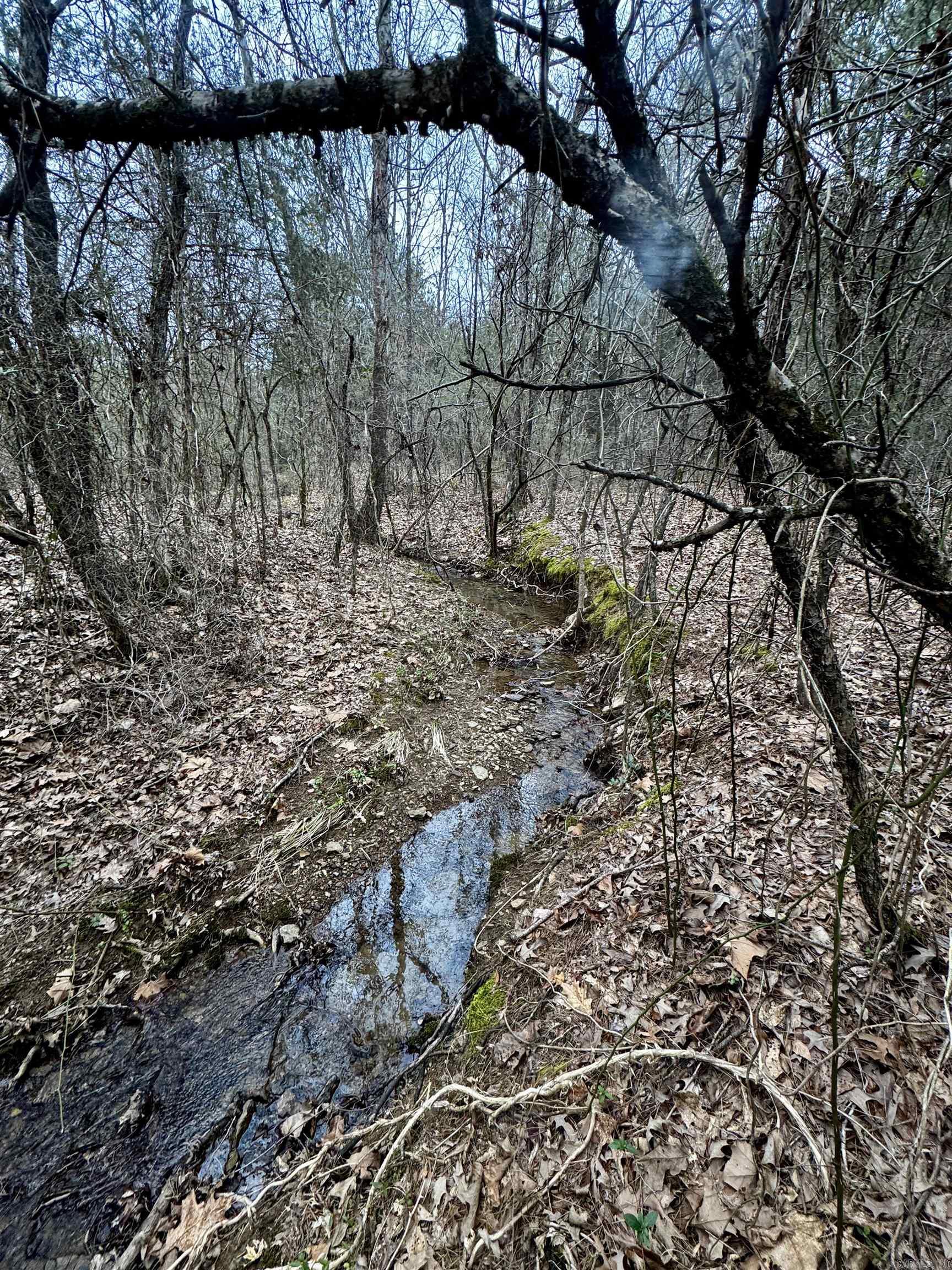 000  Mount Zion  Bee Branch, AR