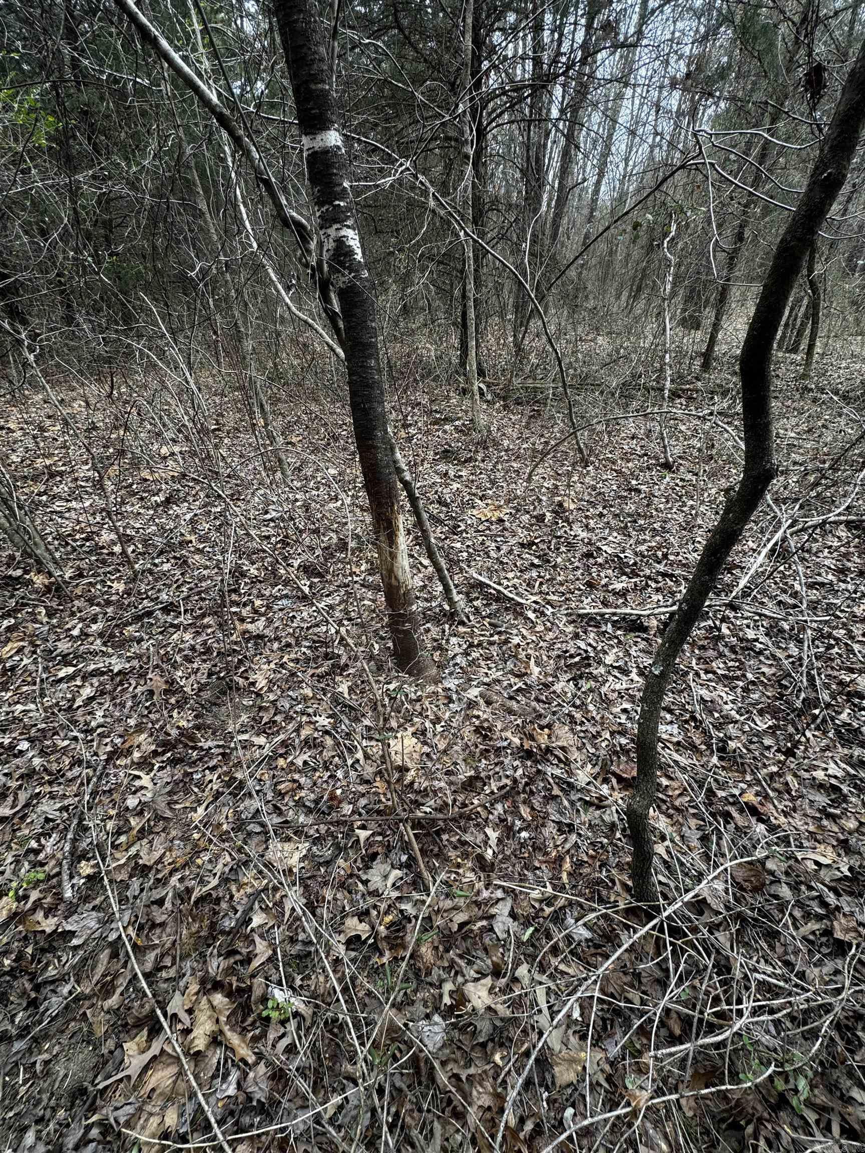 000  Mount Zion  Bee Branch, AR