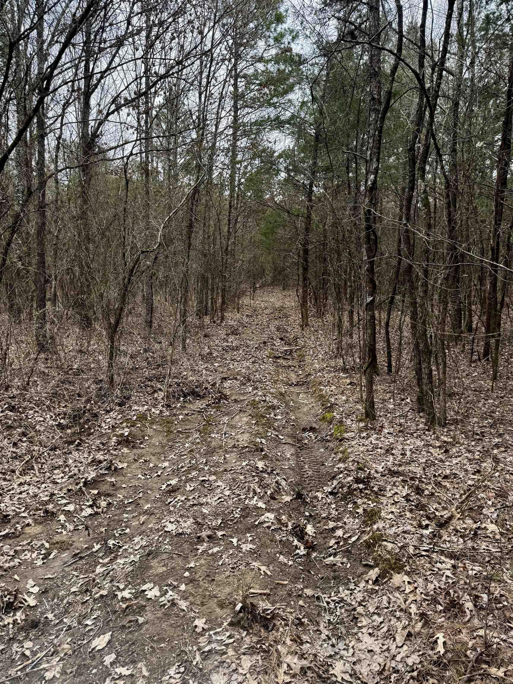 000  Mount Zion  Bee Branch, AR