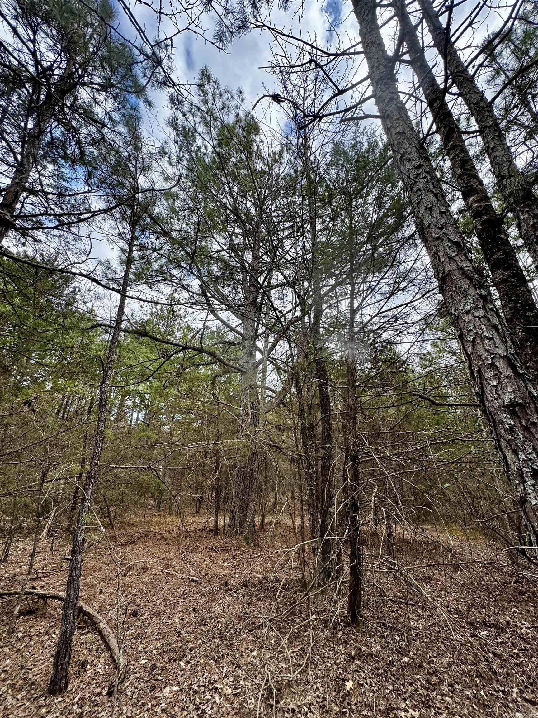 000  Mount Zion  Bee Branch, AR