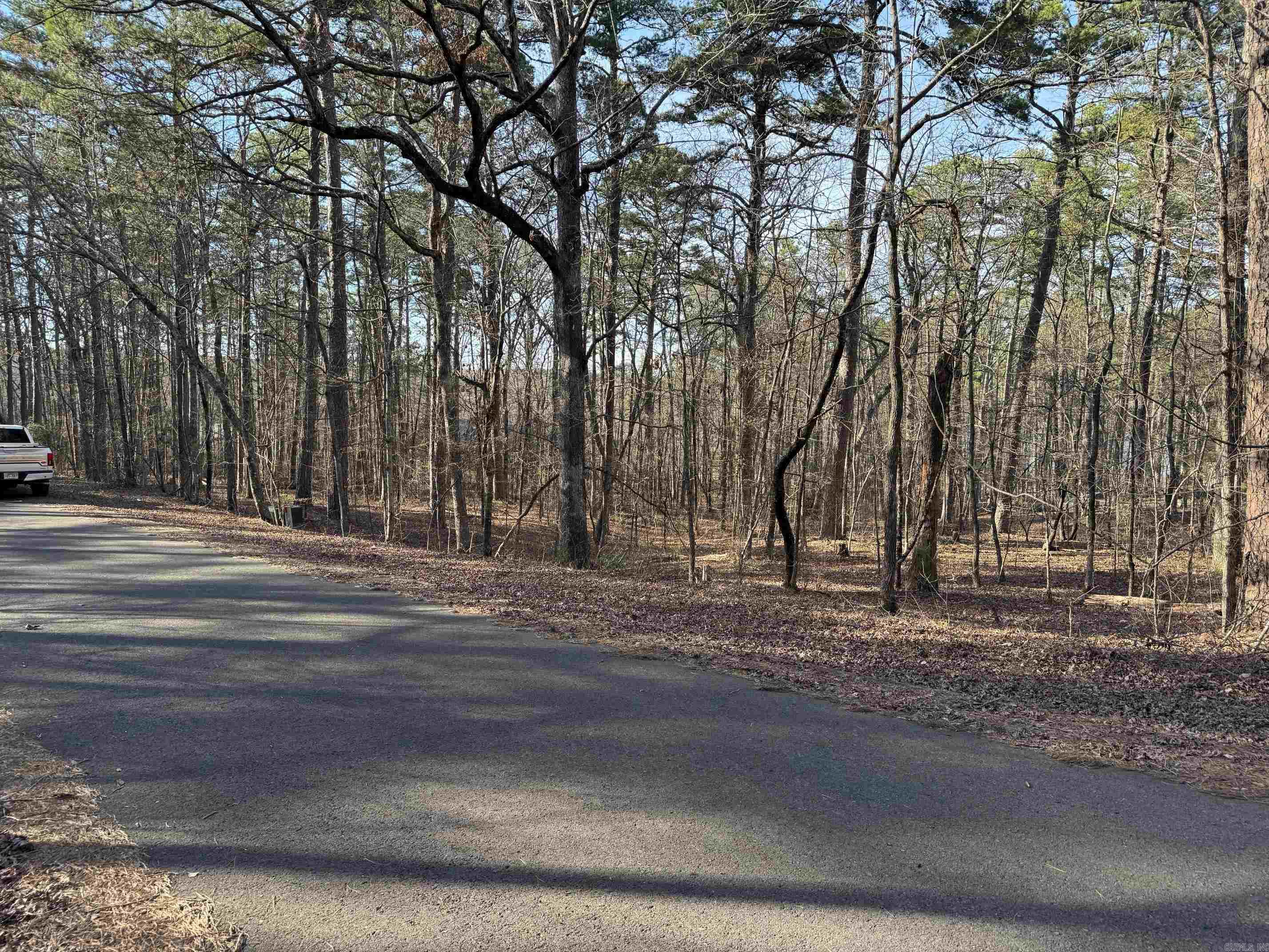 93  RONQUILLO WAY  Hot Springs Village, AR