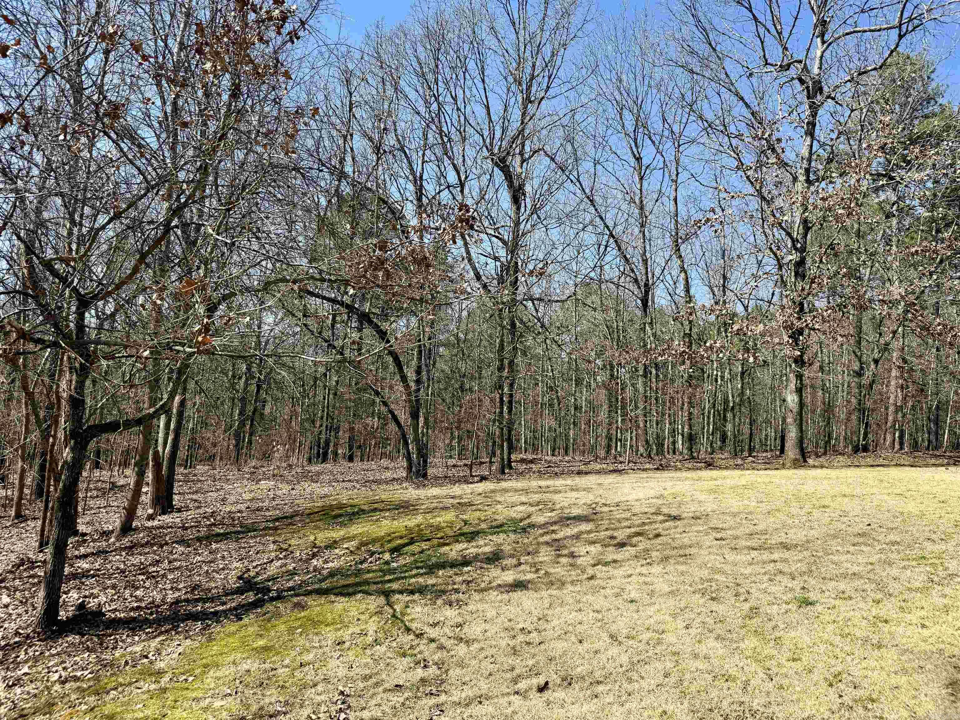 245  Greene 687  Paragould, AR
