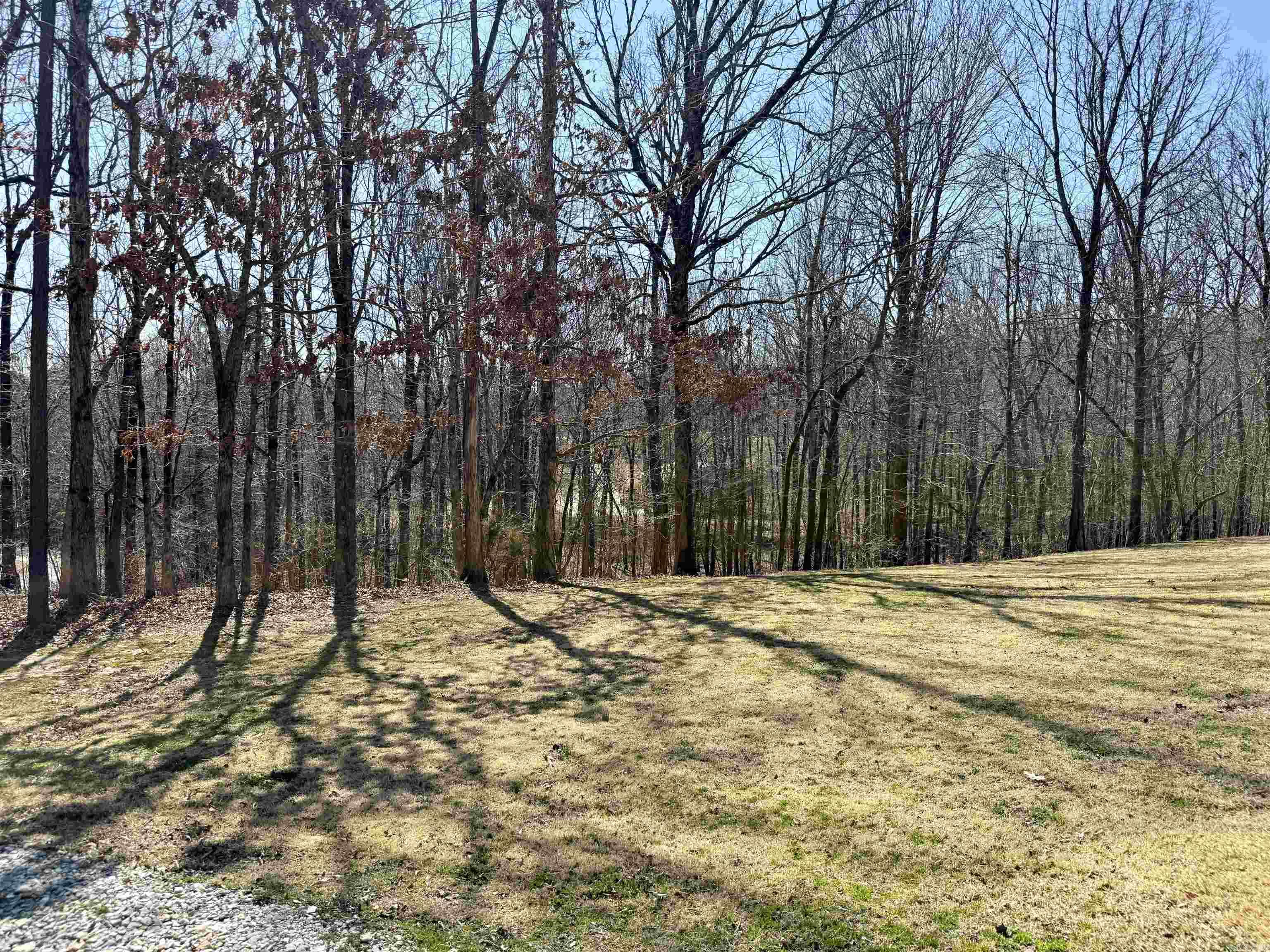 245  Greene 687  Paragould, AR