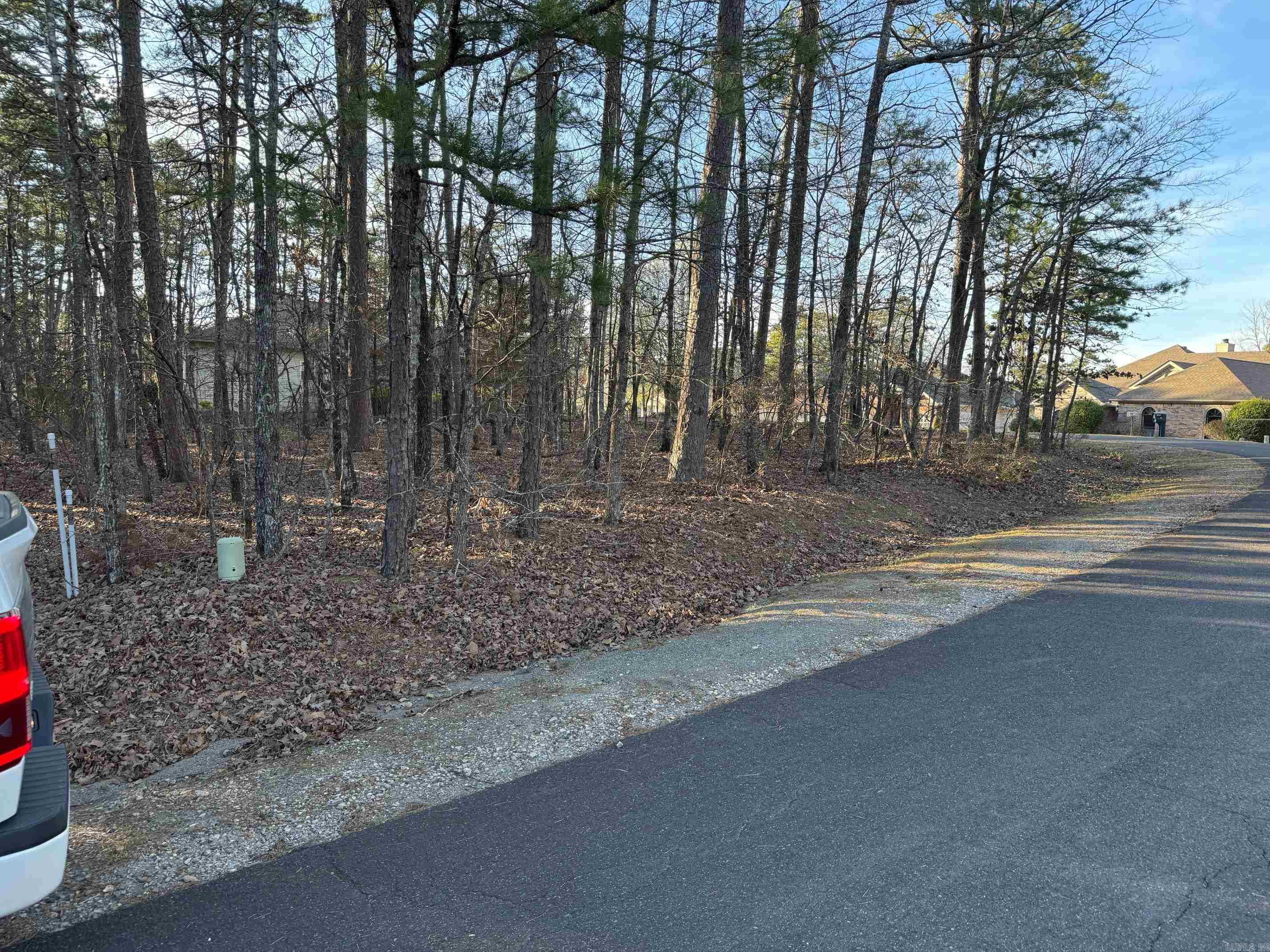 17  FERDINAND WAY  Hot Springs Village, AR