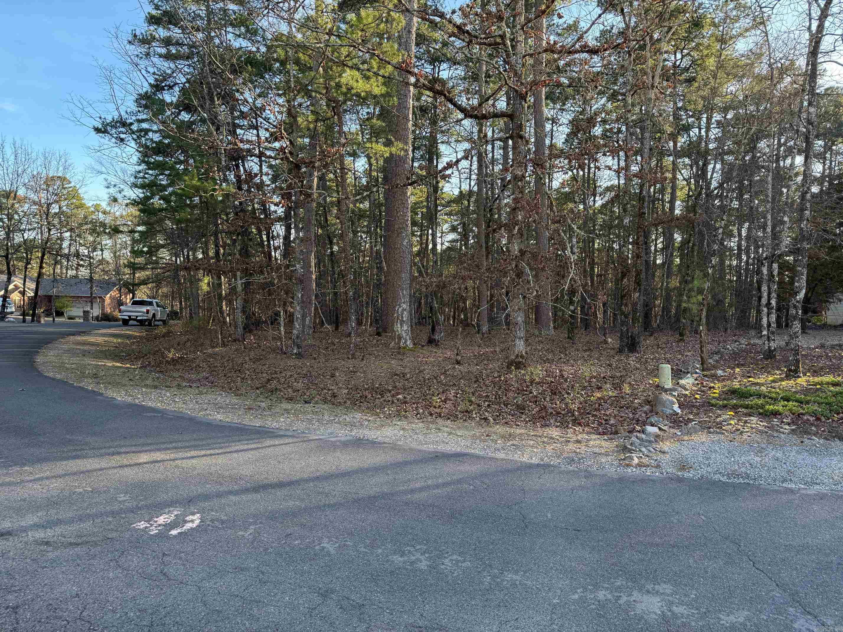 17  FERDINAND WAY  Hot Springs Village, AR