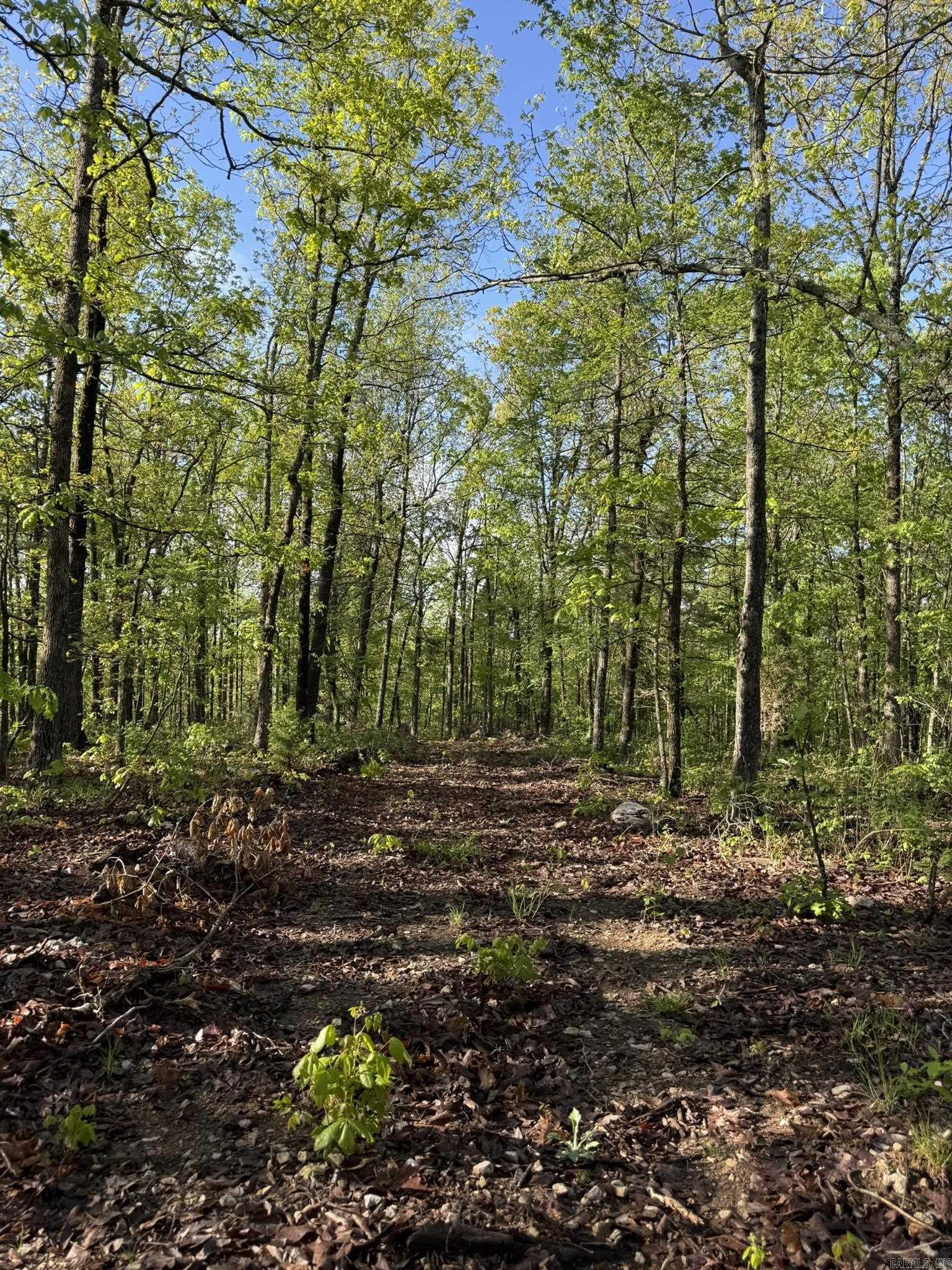 80  Ridge Road  Hardy, AR