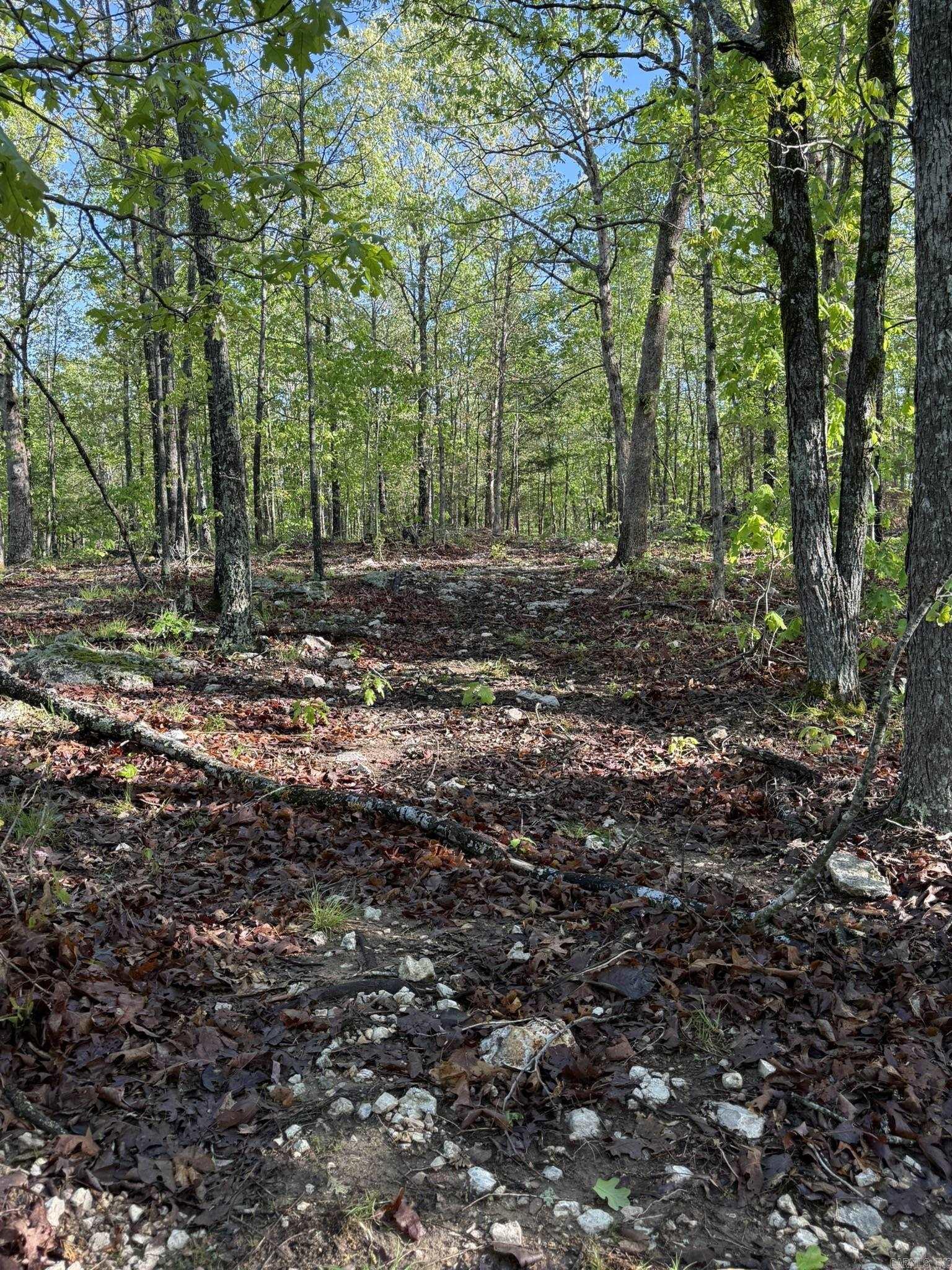 80  Ridge Road  Hardy, AR