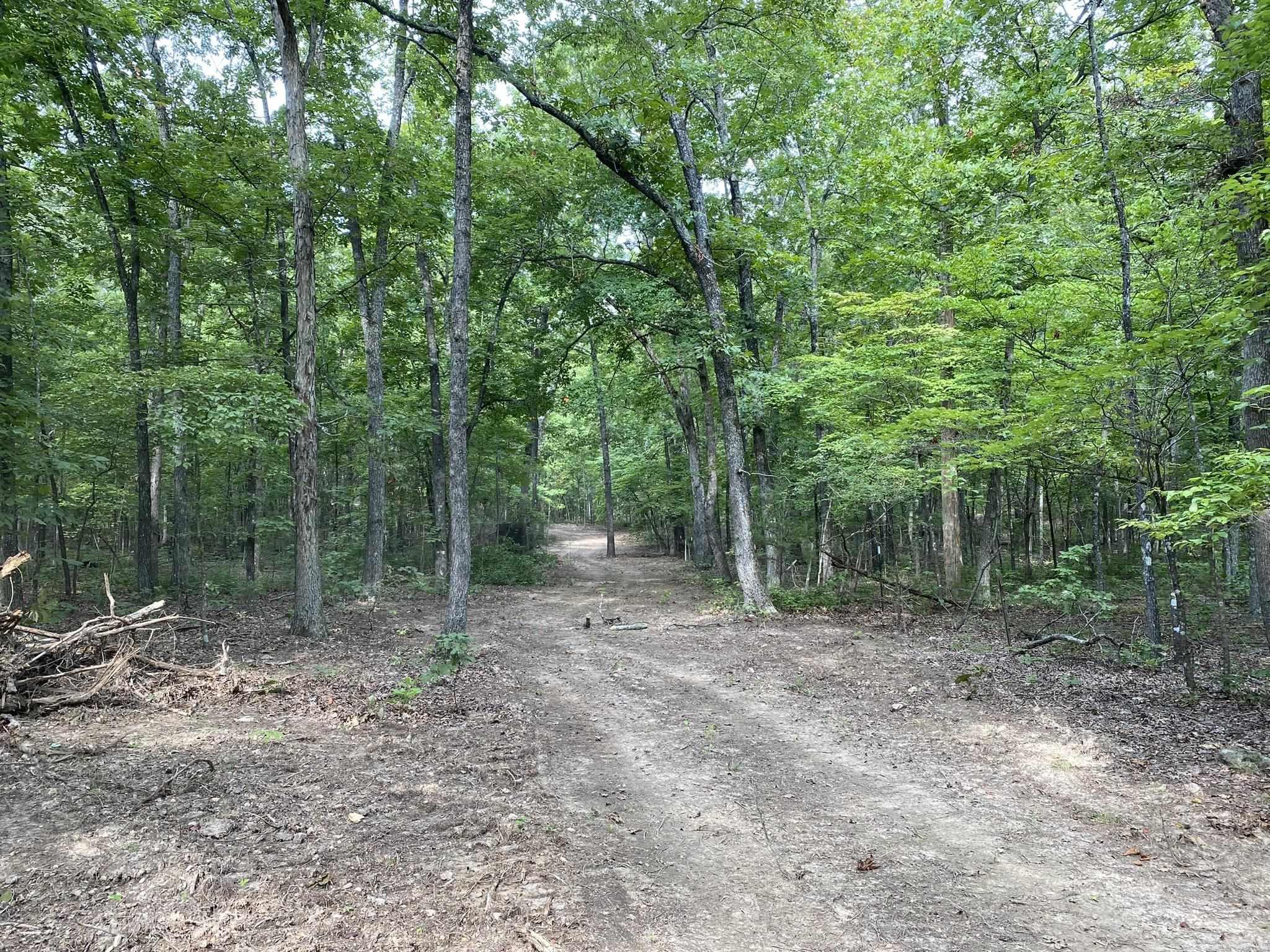 80  Ridge Road  Hardy, AR