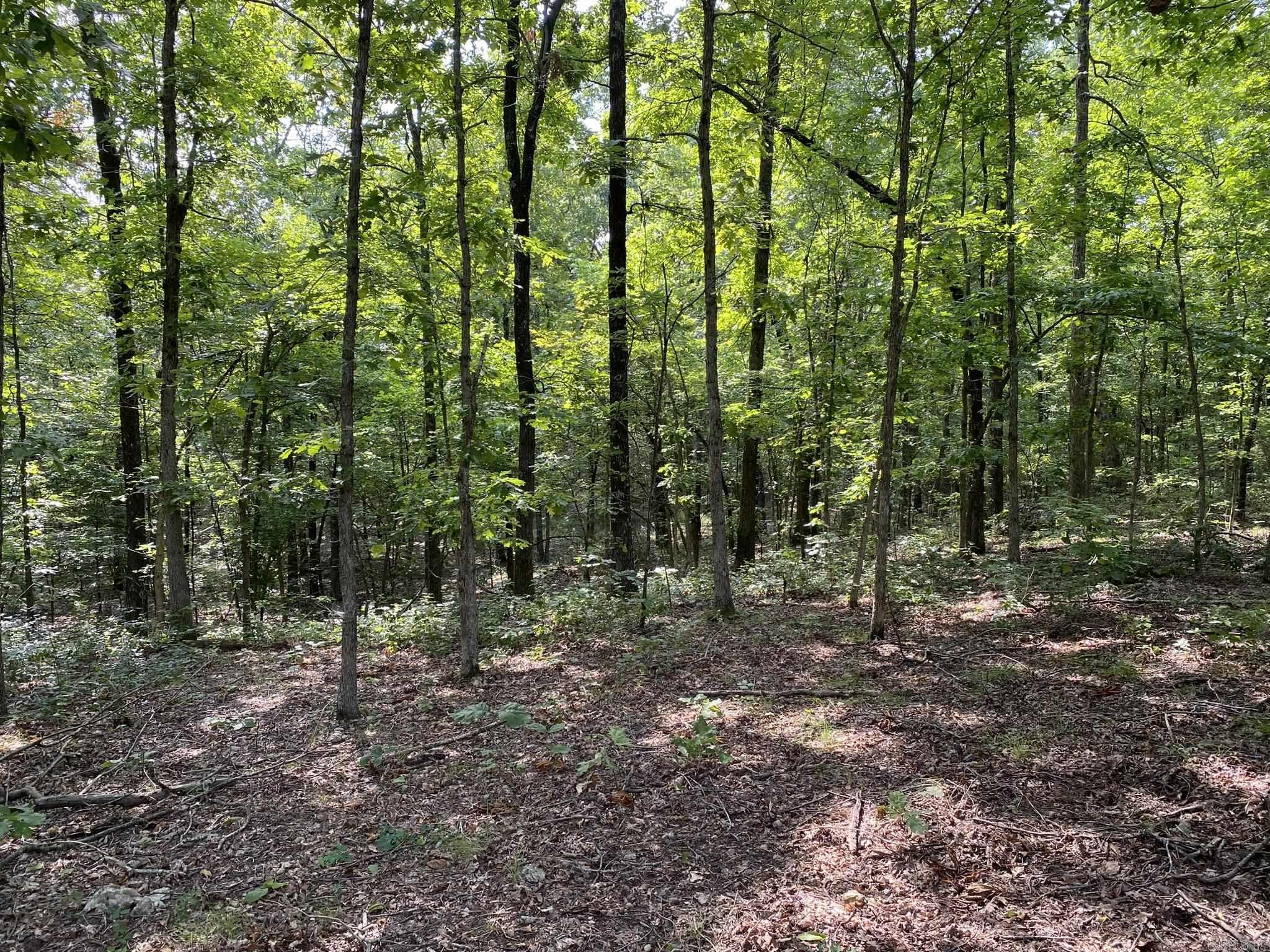 80  Ridge Road  Hardy, AR
