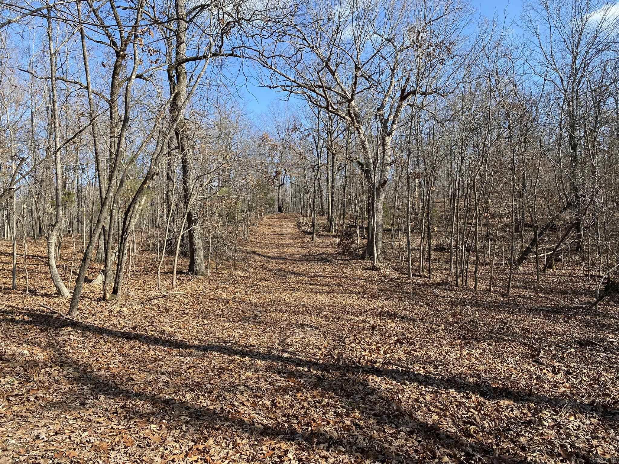 80  Ridge Road  Hardy, AR