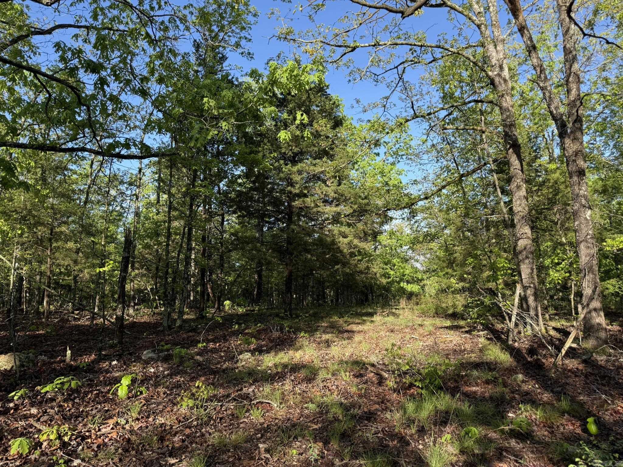 80  Ridge Road  Hardy, AR