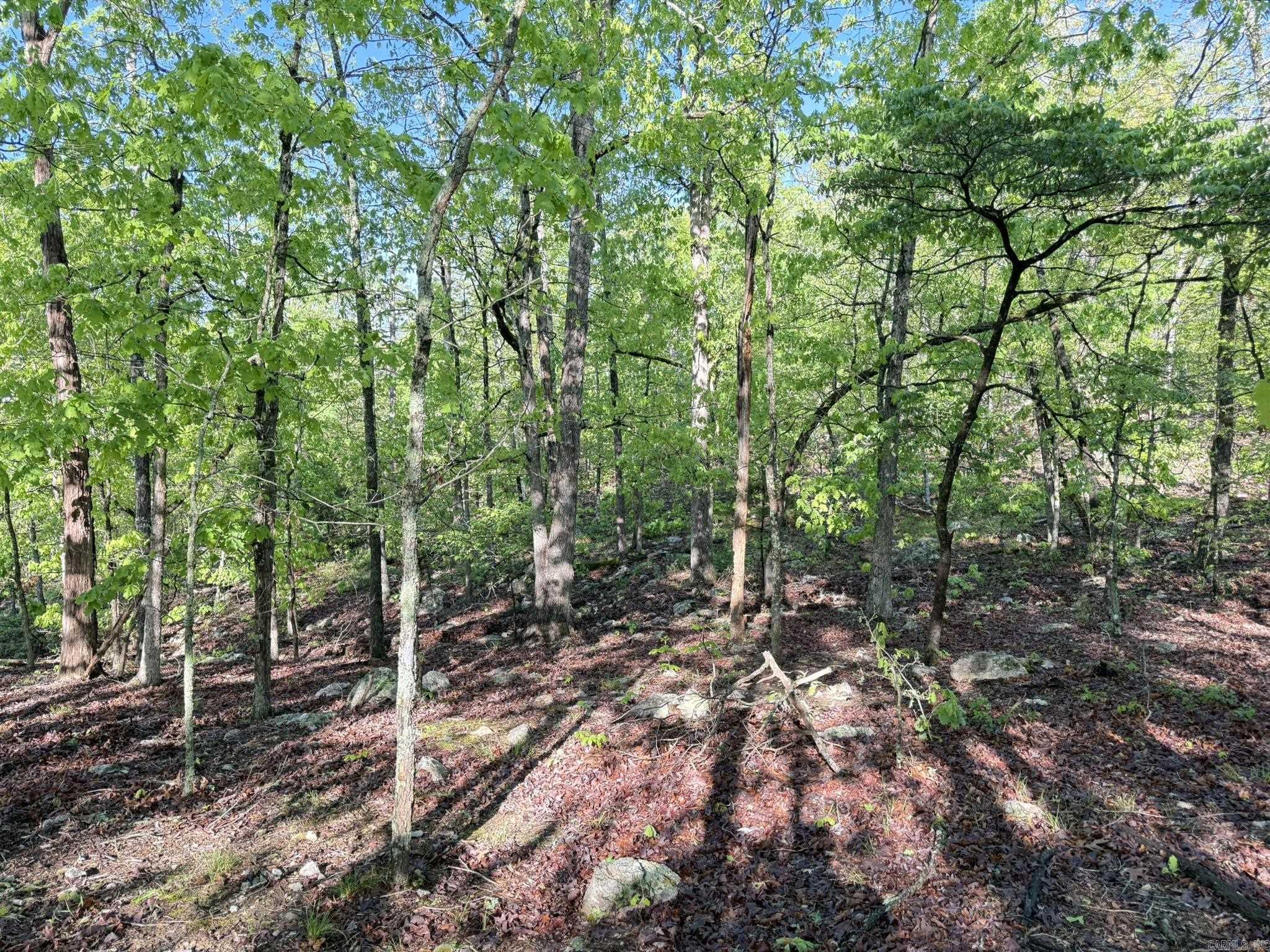 80  Ridge Road  Hardy, AR