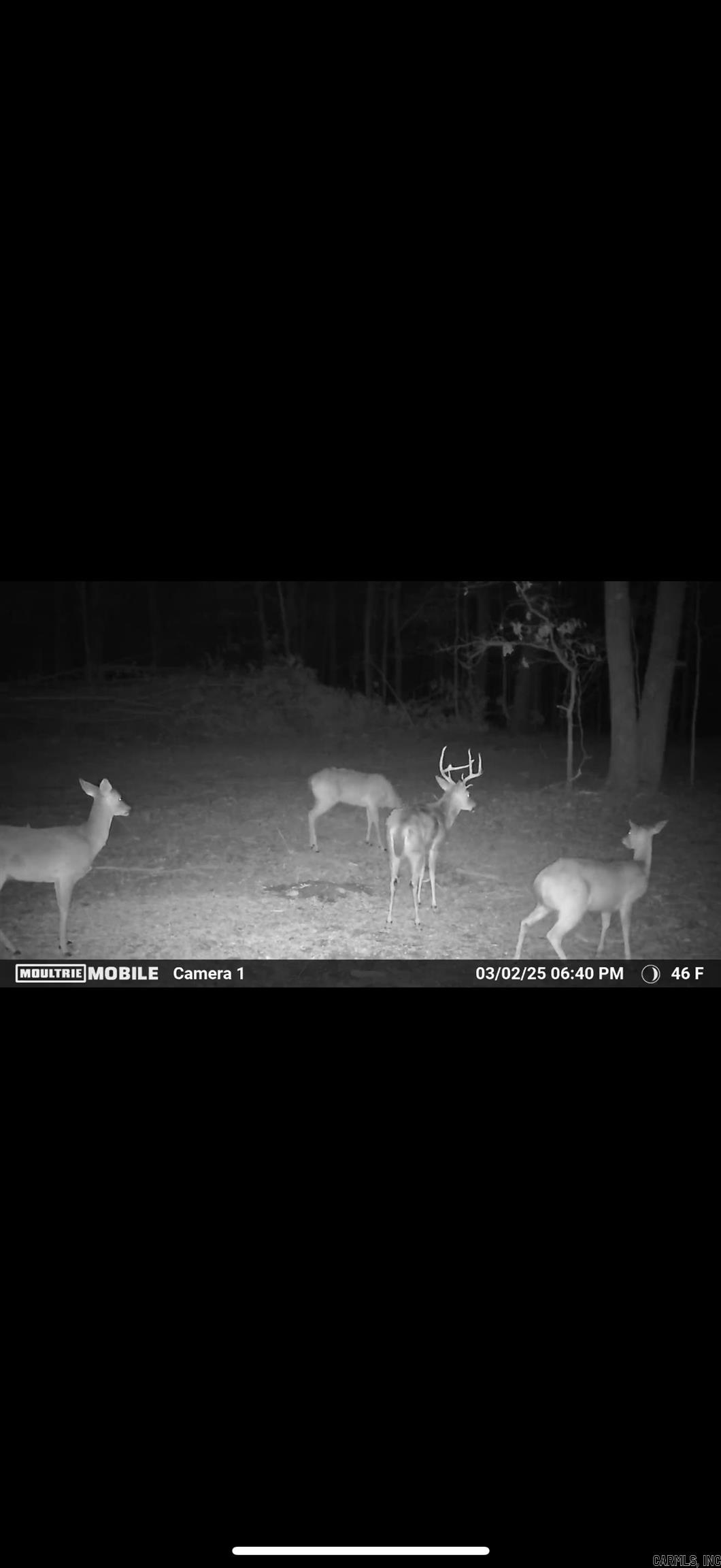 80  Ridge Road  Hardy, AR