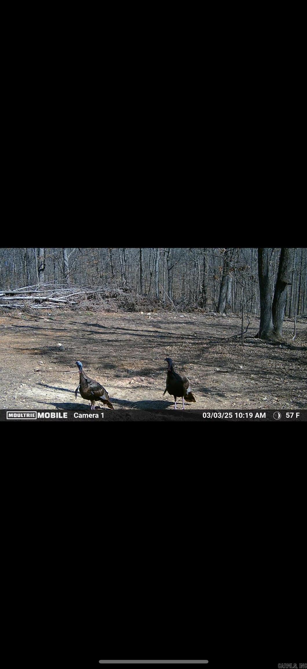 80  Ridge Road  Hardy, AR